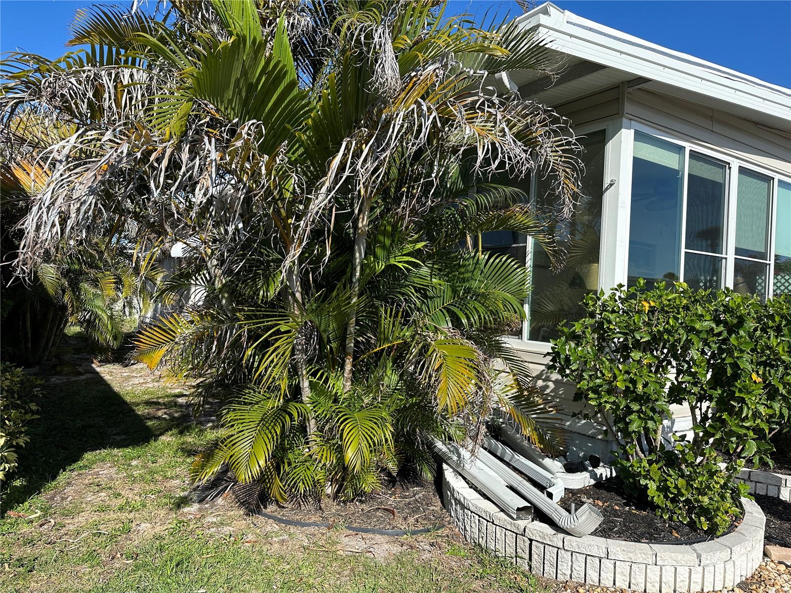 5800 FORSYTHIA RD — photo 18