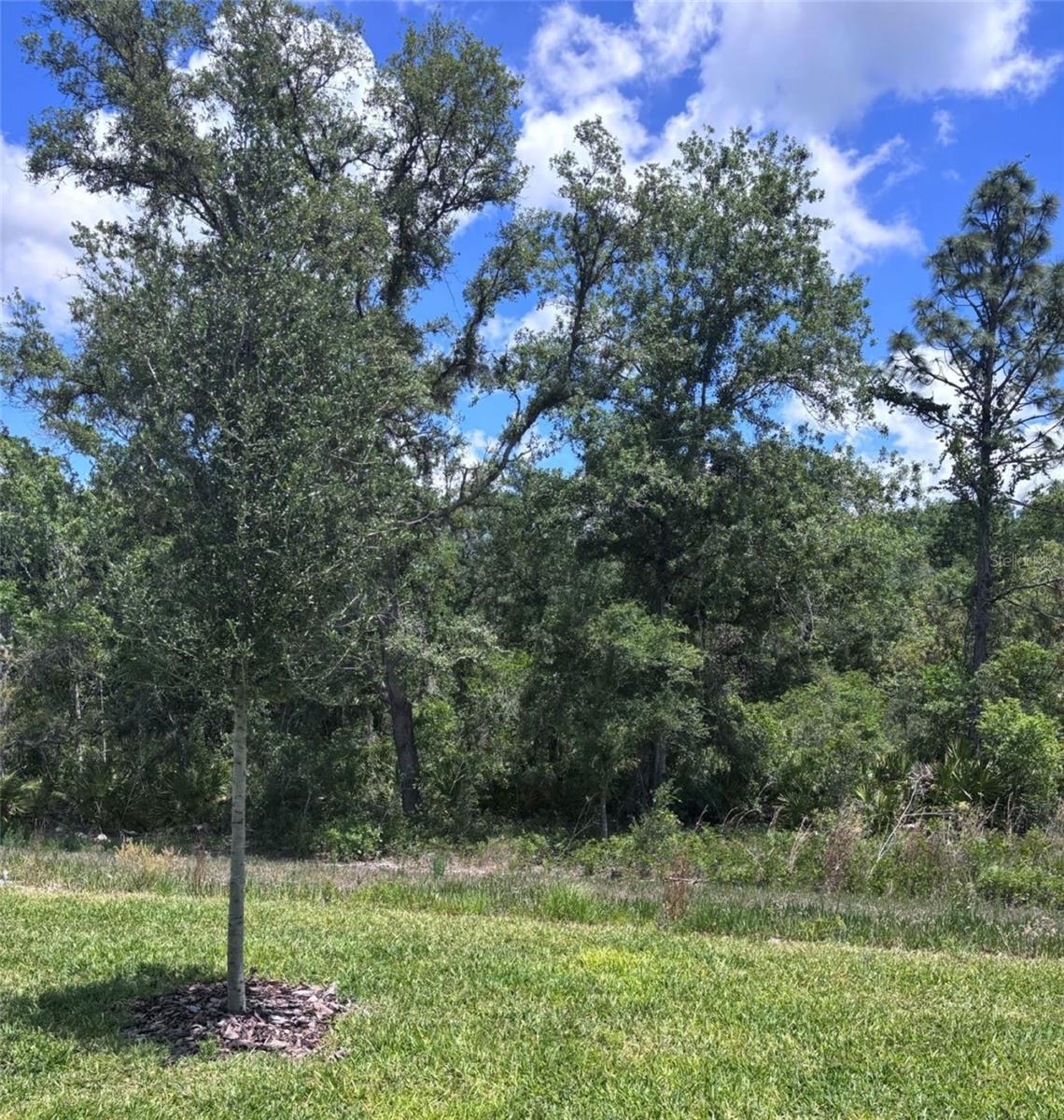 13630 CANYON RIDGE RD — photo 17