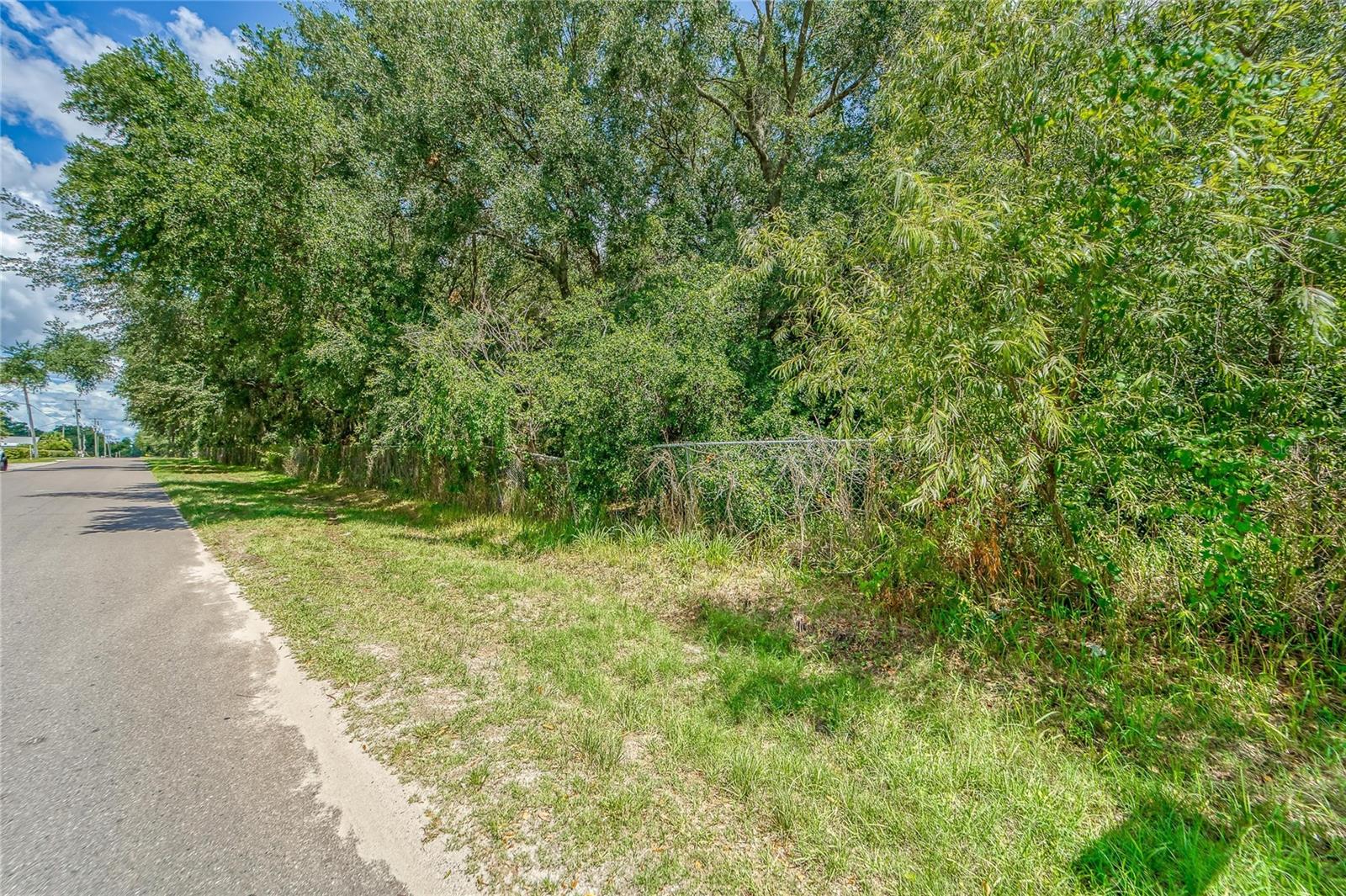 TURKEY CREEK RD — photo 14