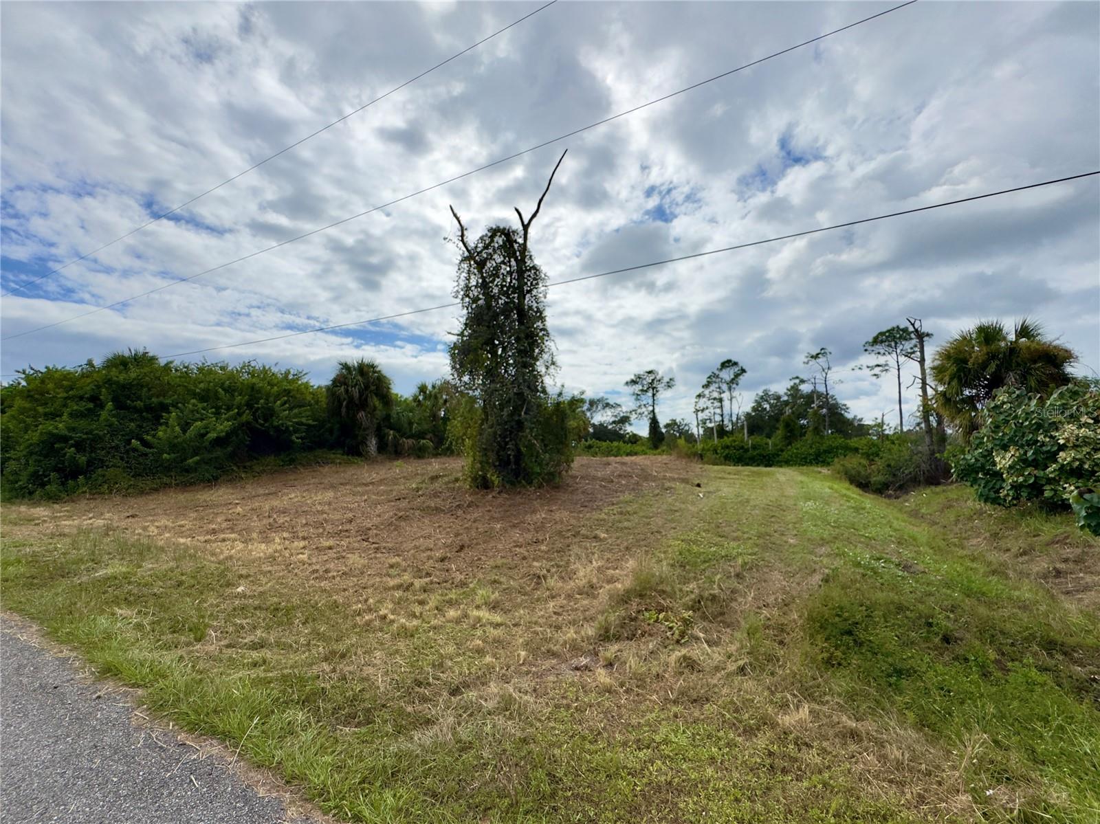 LOT 28 FLORALA ST — photo 4