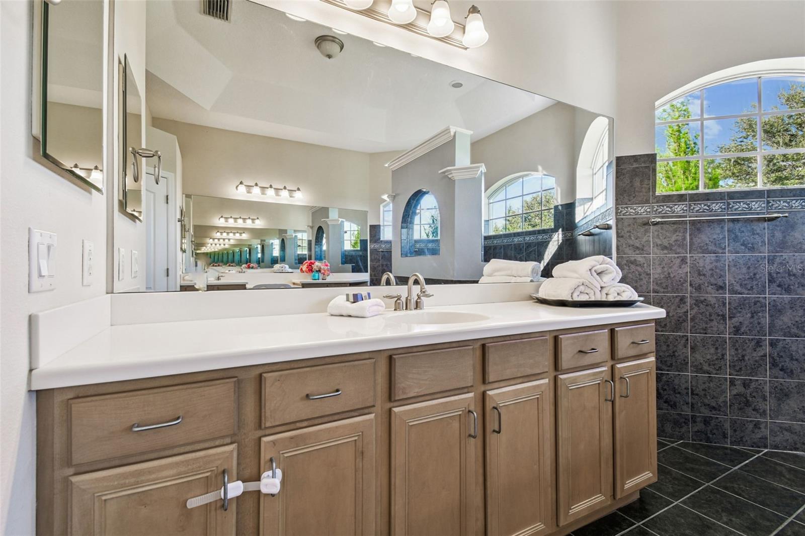 15639 SETH COUNTRY LN — photo 28