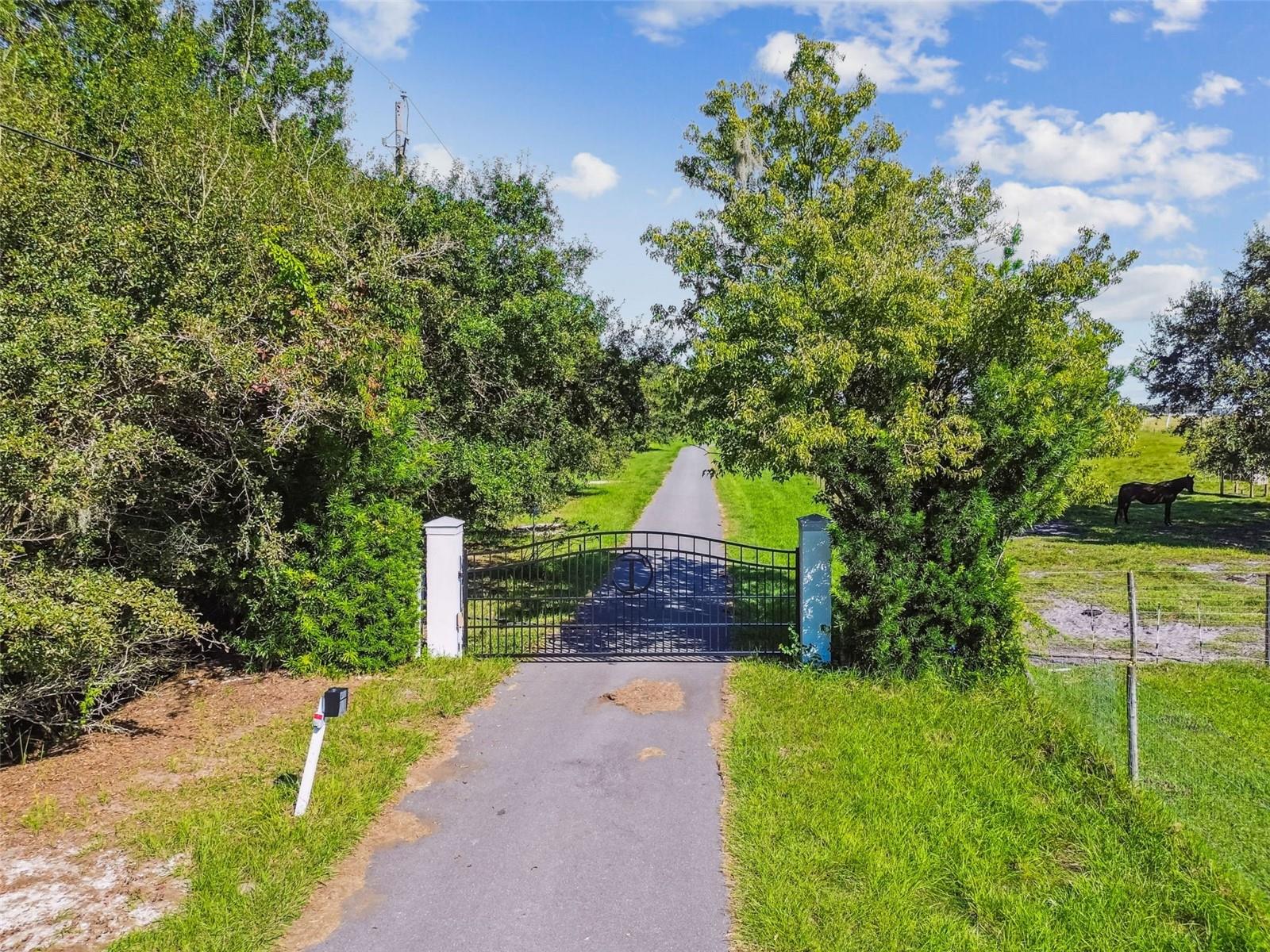 15639 SETH COUNTRY LN — photo 70