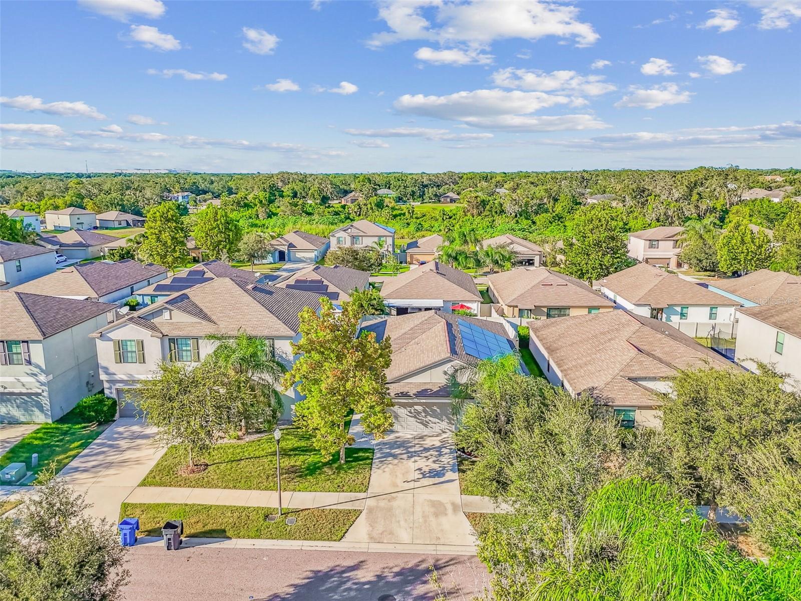 10112 ROSEMARY LEAF LN — photo 37