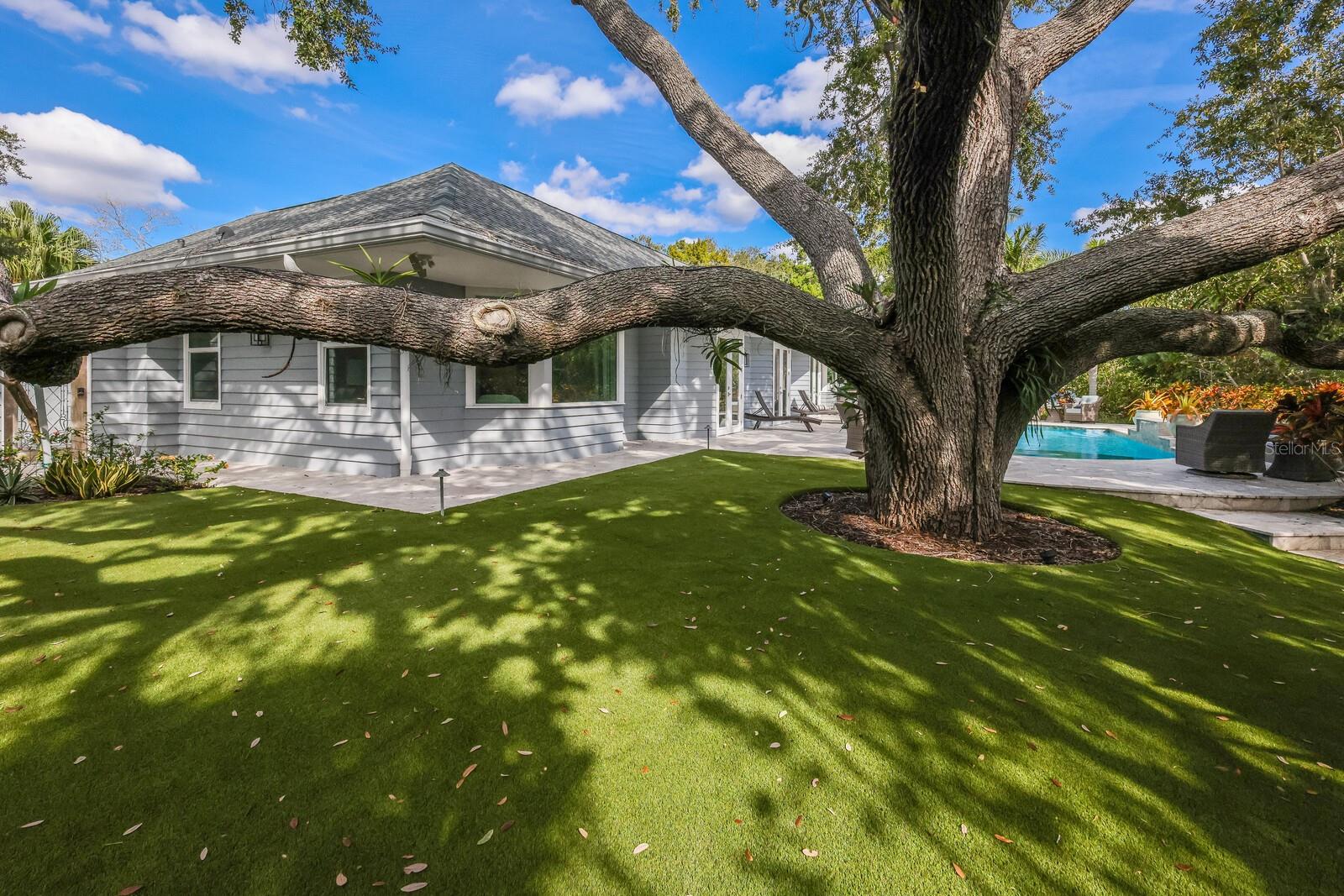 1253 N BASIN LN — photo 39
