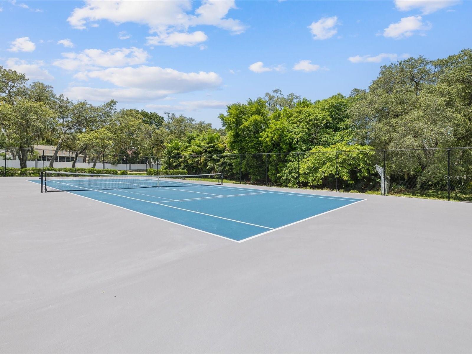 1424 RIDGE SHORE DR — photo 54