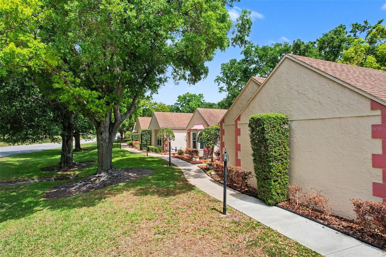 11241 VERSAILLES LN #0 — photo 34