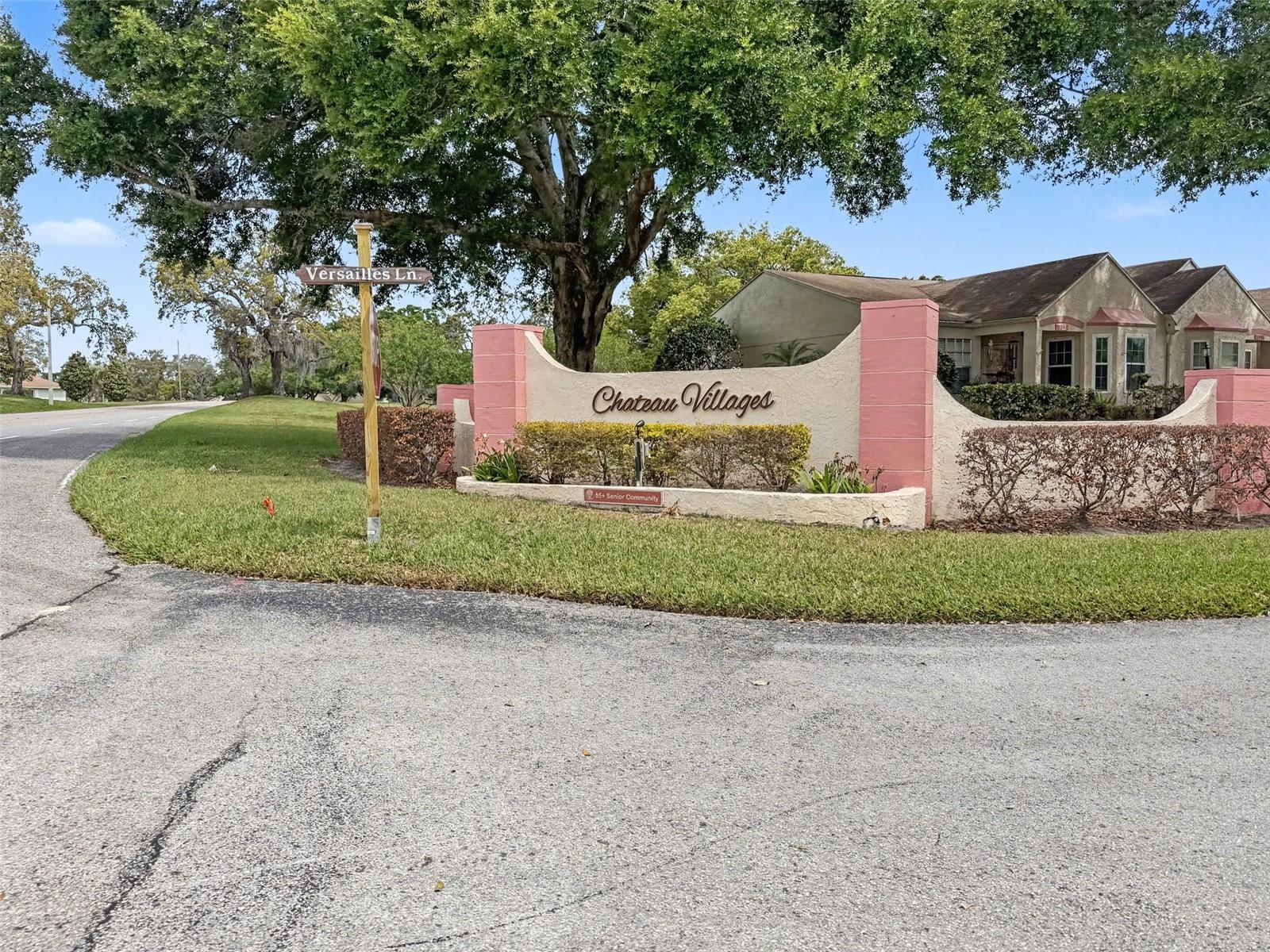 11241 VERSAILLES LN #0 — photo 41