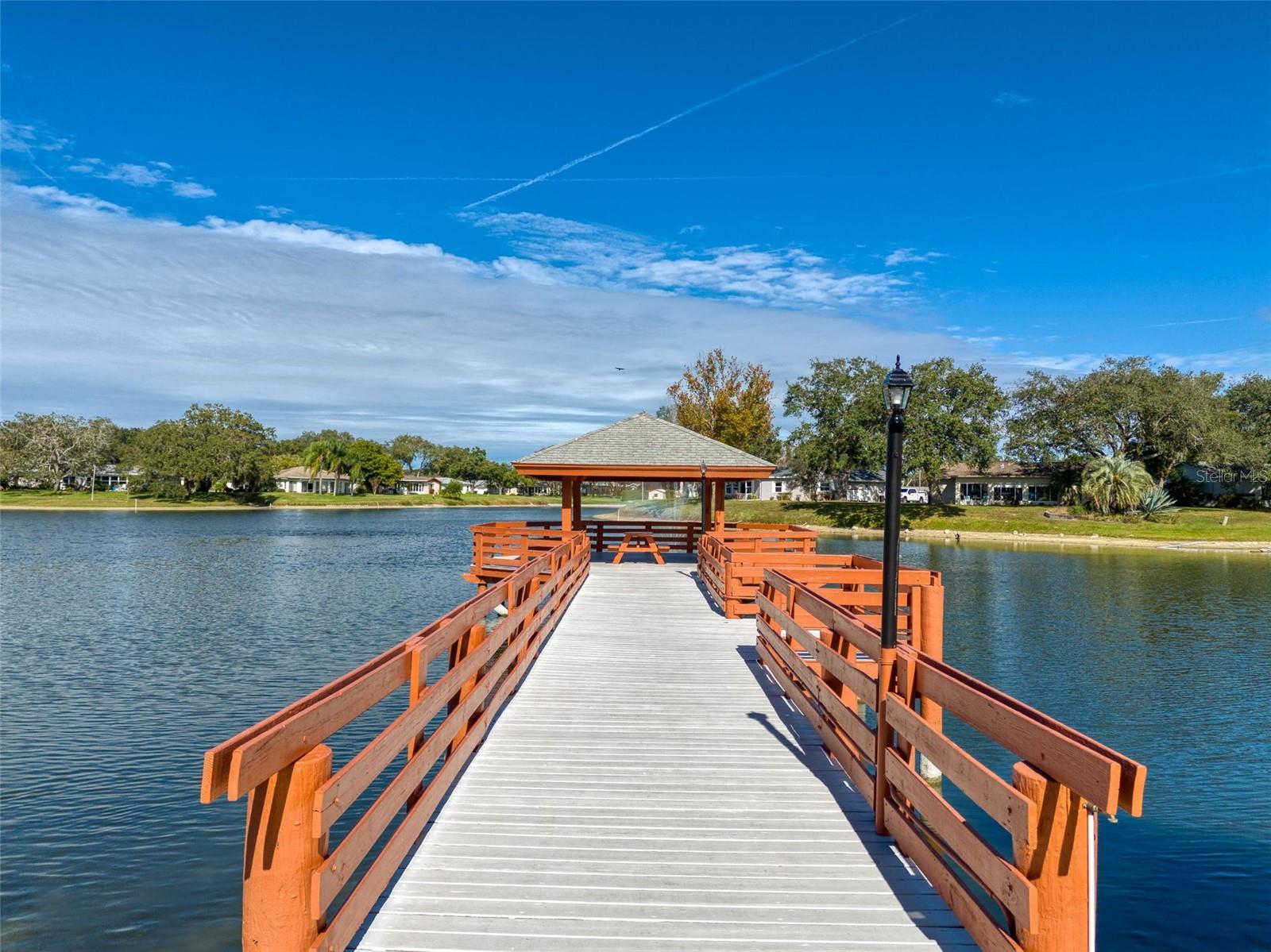 11241 VERSAILLES LN #0 — photo 47
