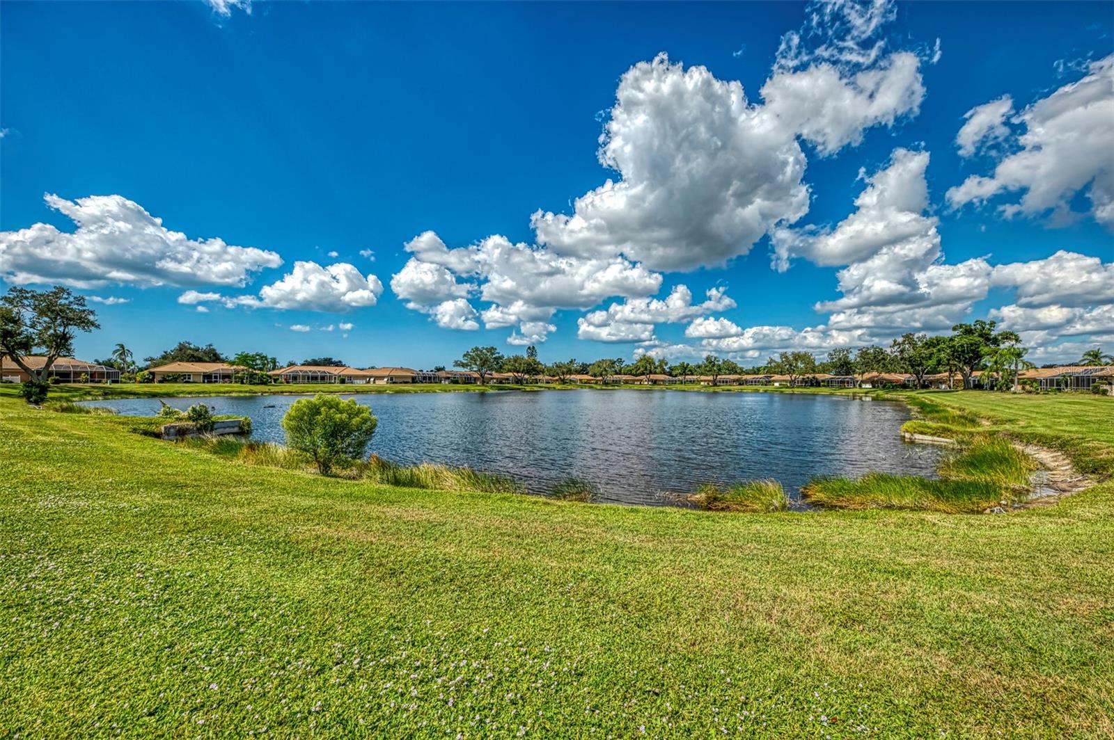 3168 E VILLAGE DR — photo 55
