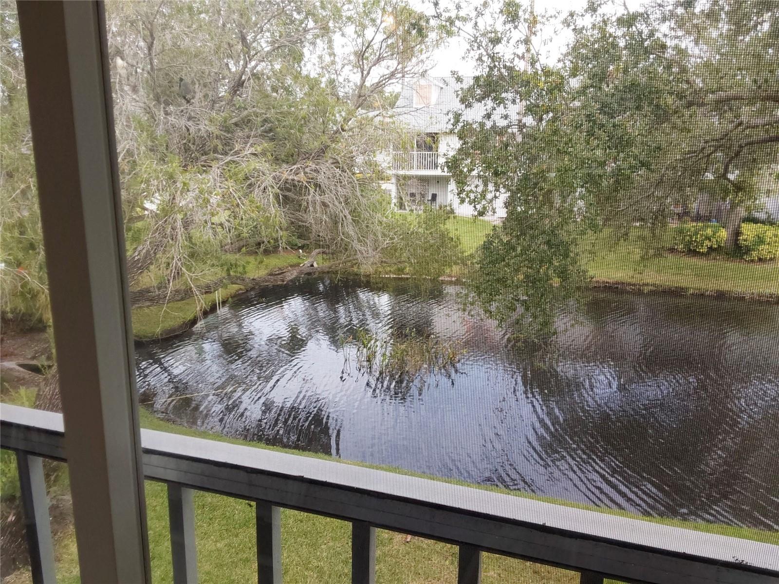 153 SUN ISLE CIR — photo 32