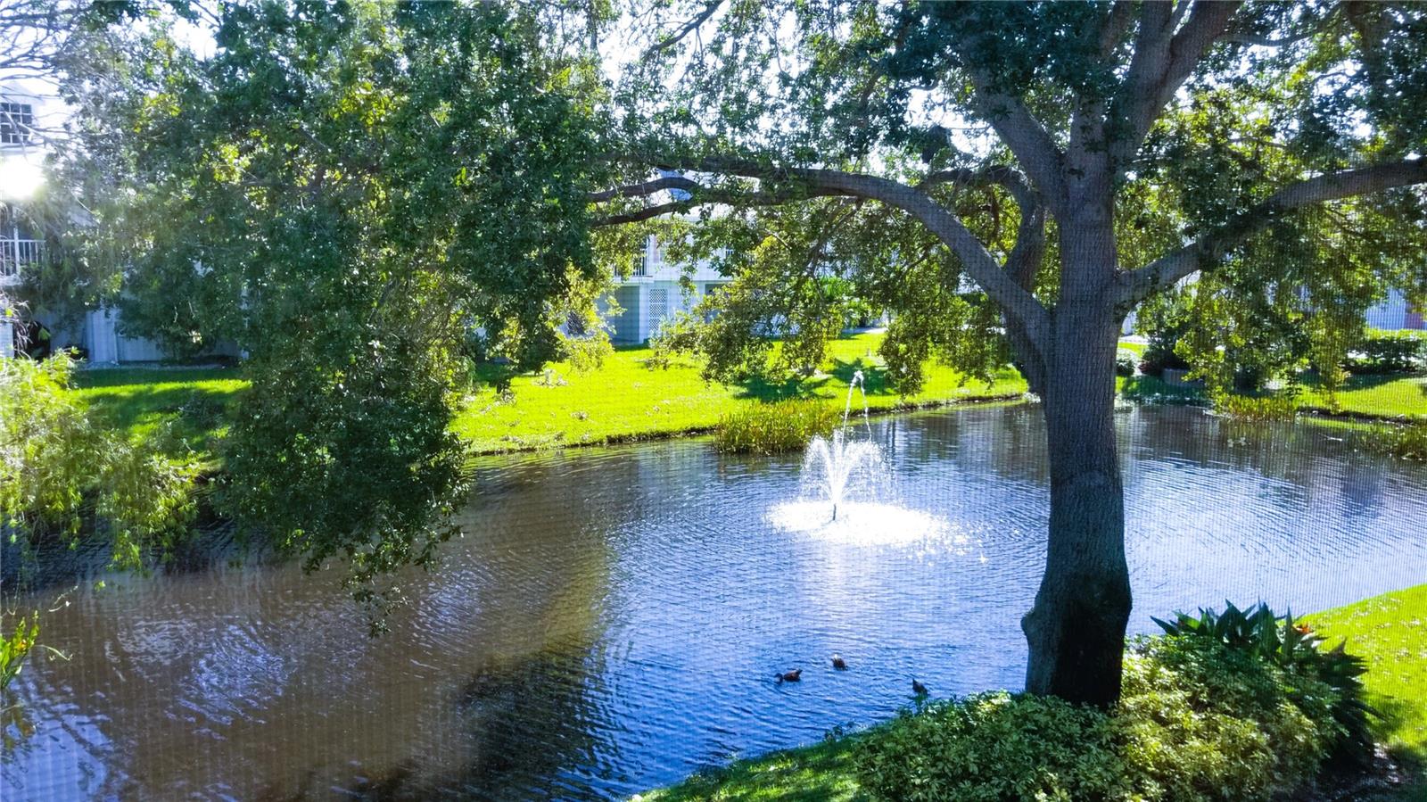 153 SUN ISLE CIR — photo 33