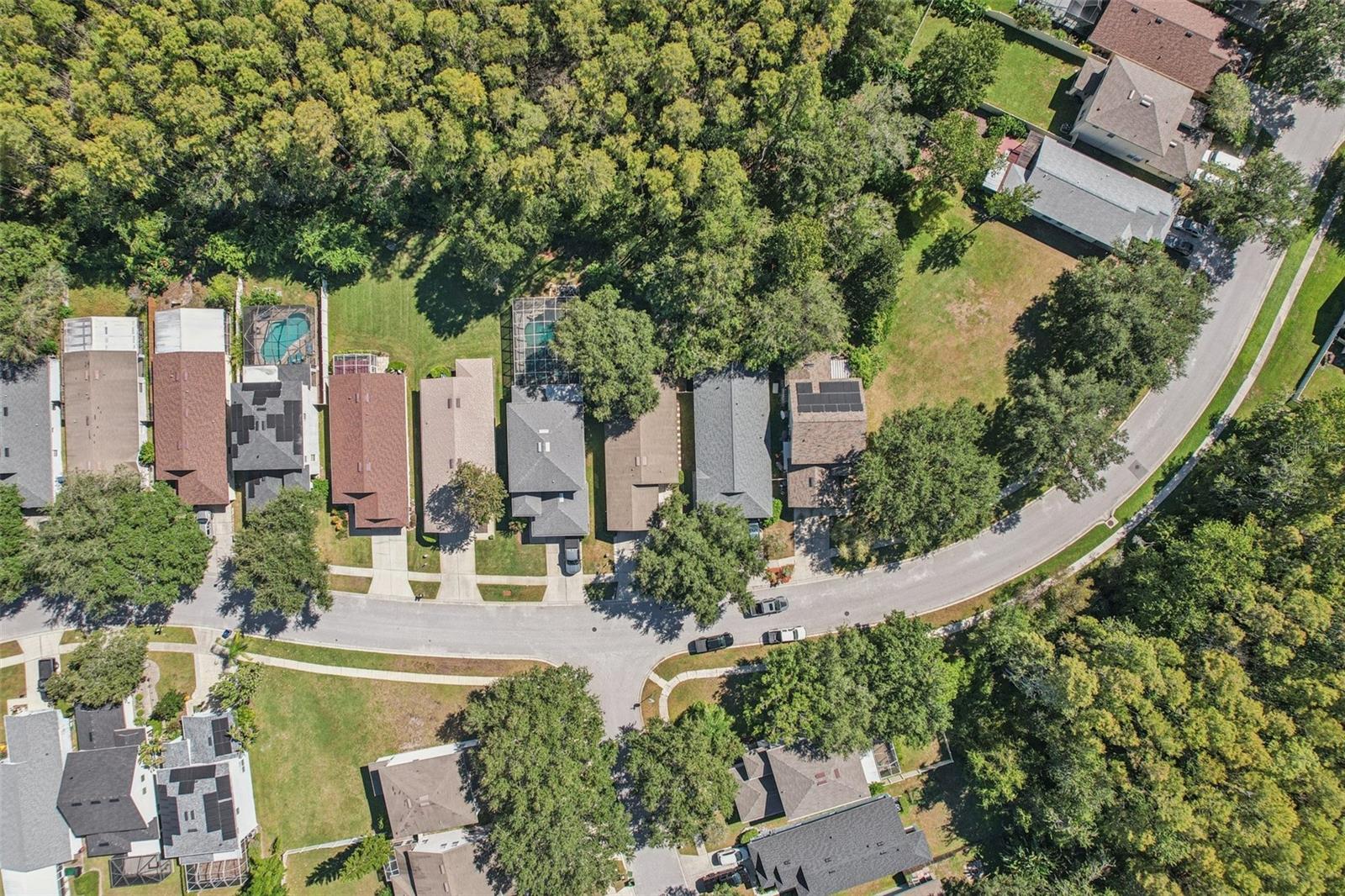 7842 CITRUS BLOSSOM DR — photo 37