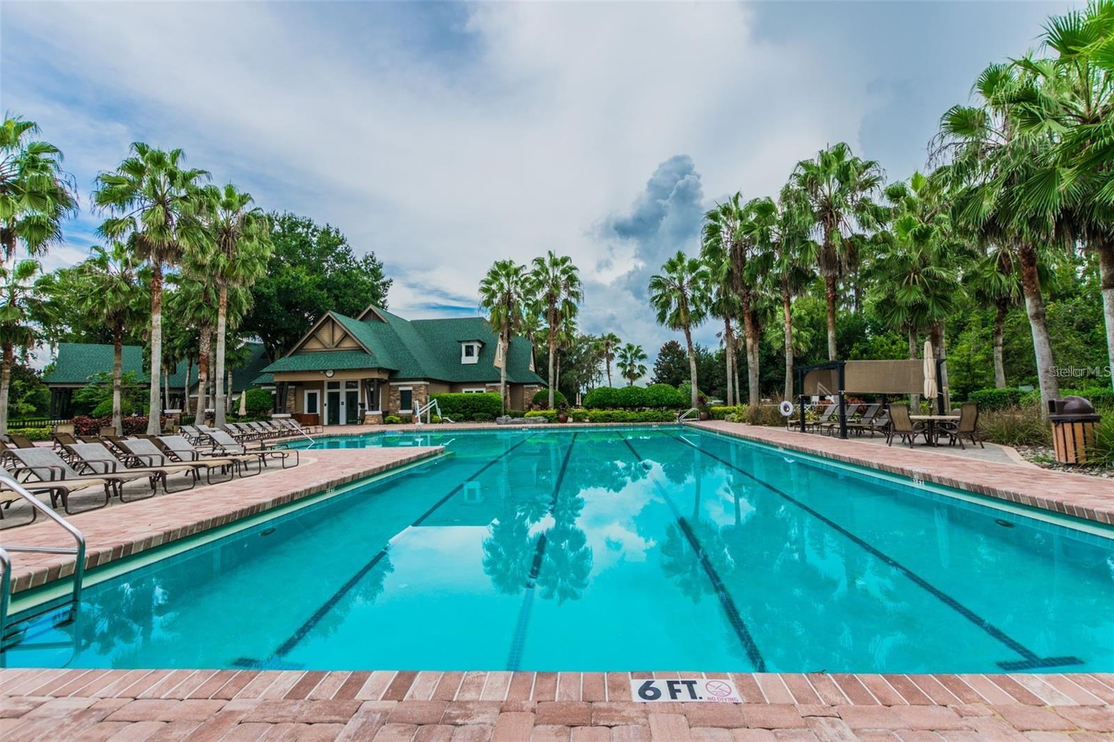 7842 CITRUS BLOSSOM DR — photo 50