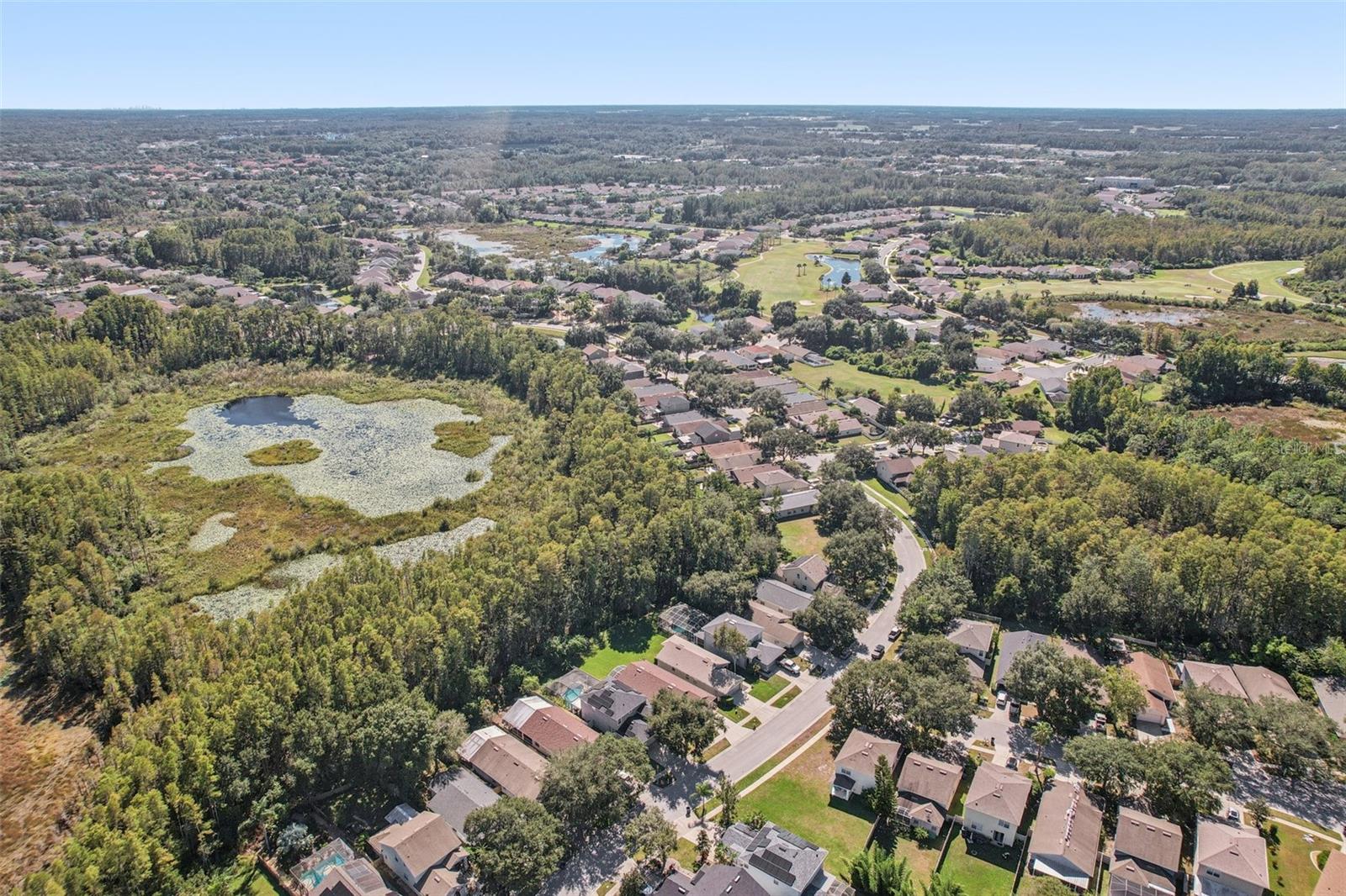 7842 CITRUS BLOSSOM DR — photo 42