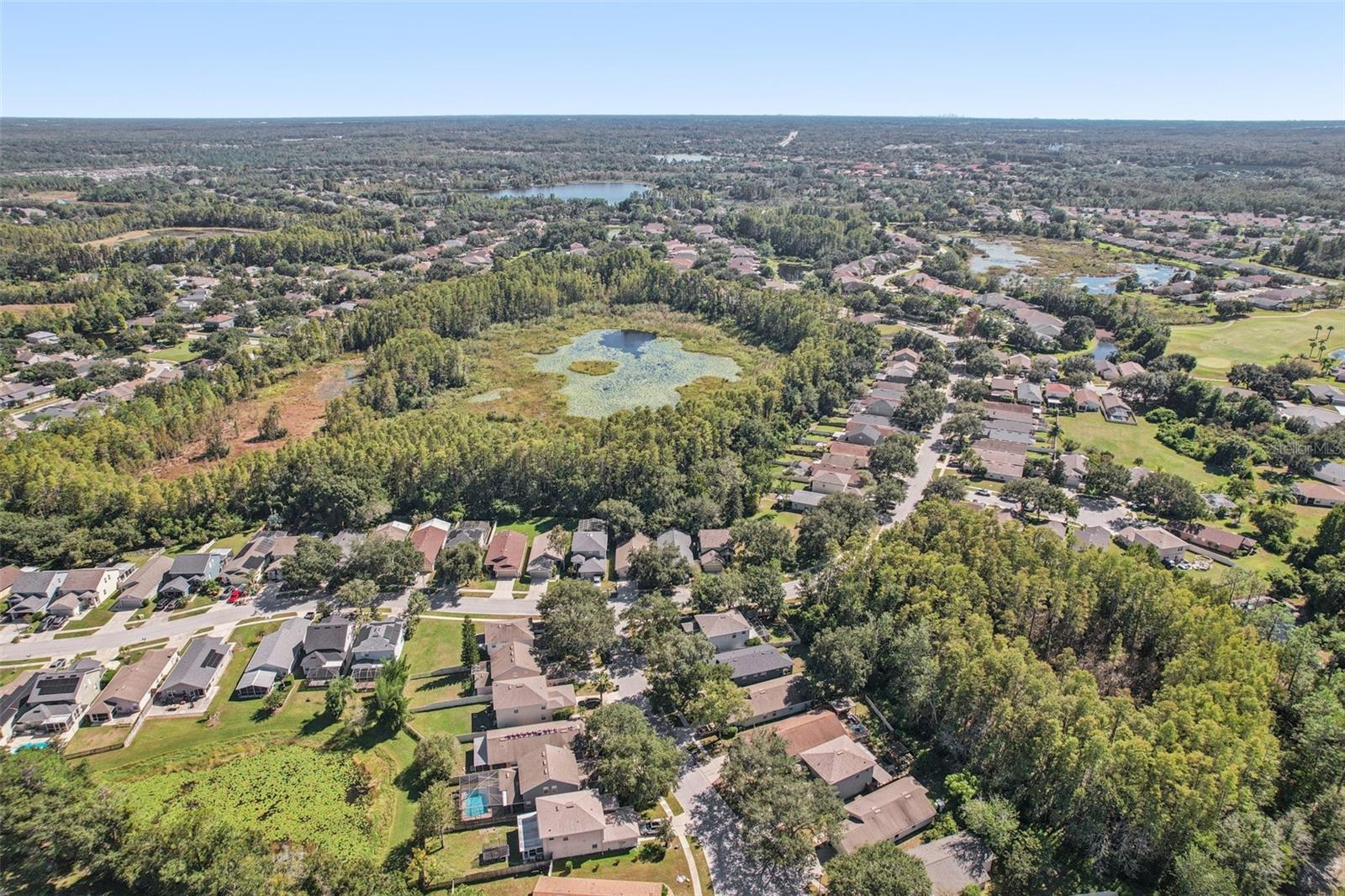 7842 CITRUS BLOSSOM DR — photo 43
