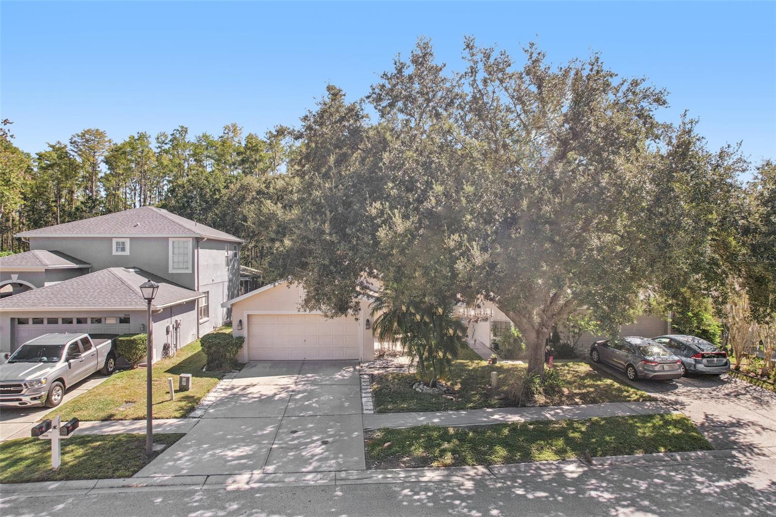 7842 CITRUS BLOSSOM DR — photo 35