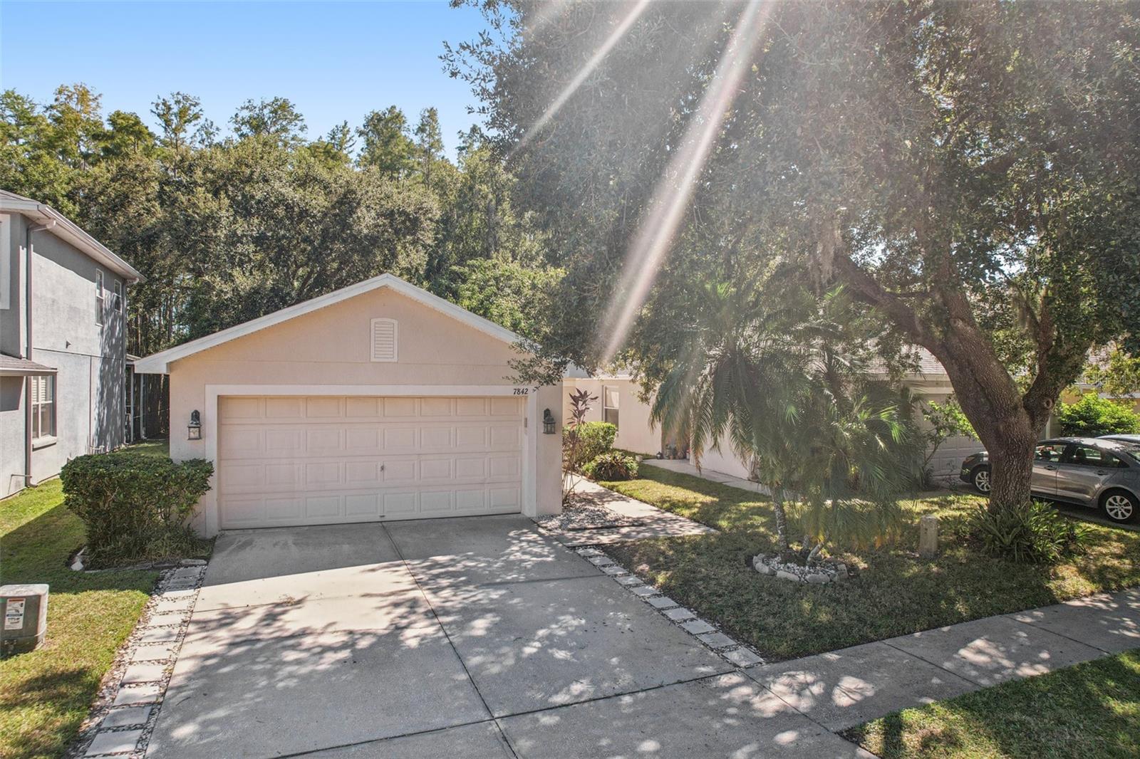 7842 CITRUS BLOSSOM DR — photo 33