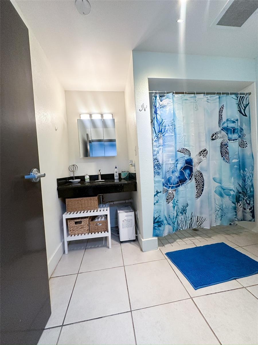 611 DESTINY DR #501 — photo 10