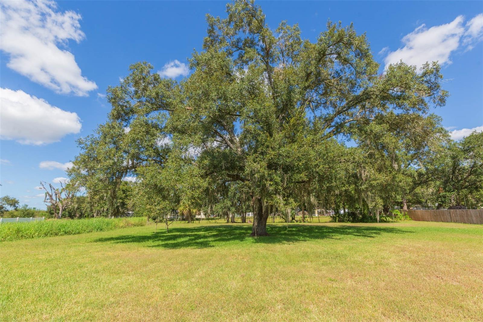 11228 MARLBOROUGH DR — photo 30