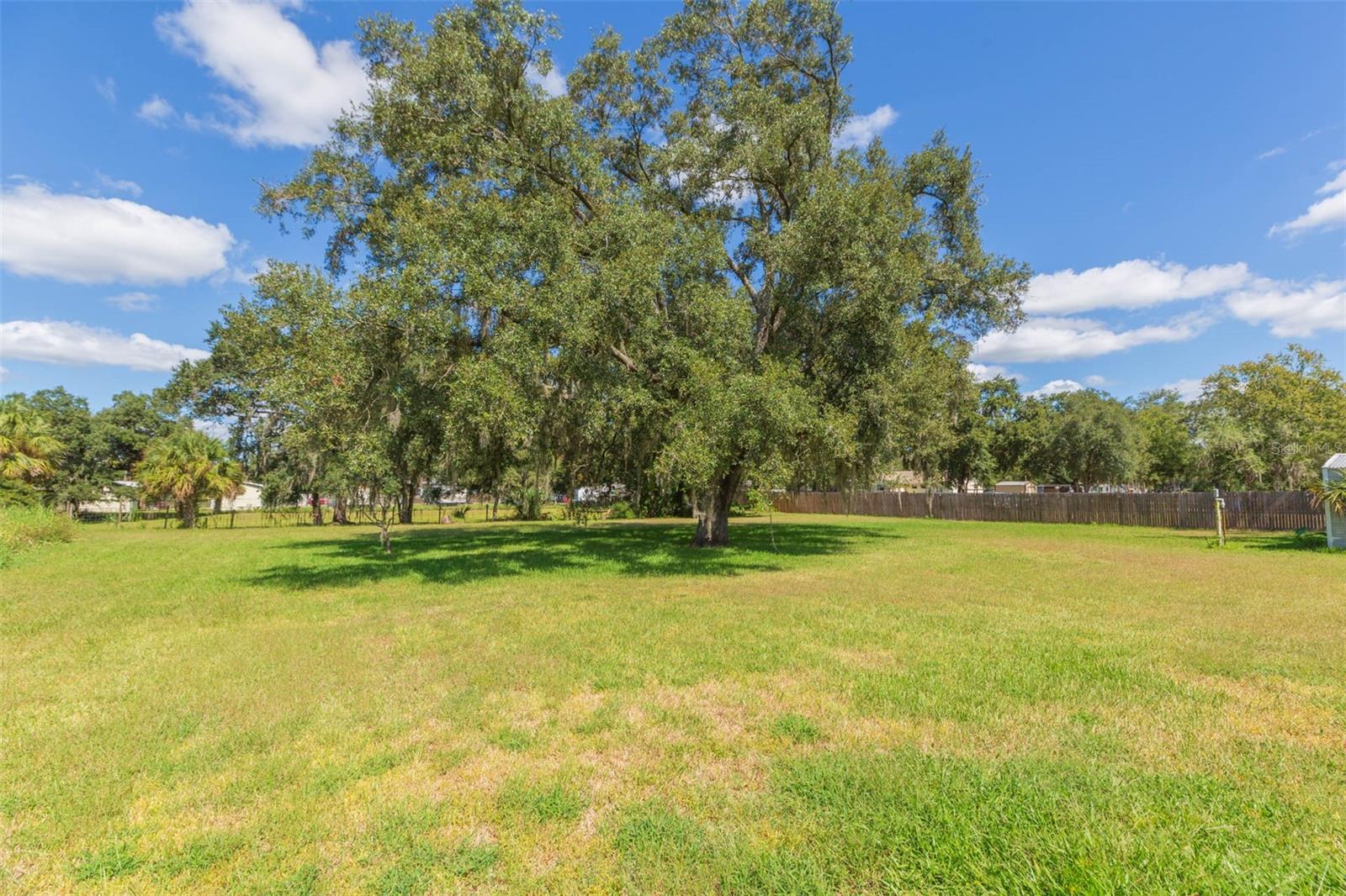 11228 MARLBOROUGH DR — photo 29
