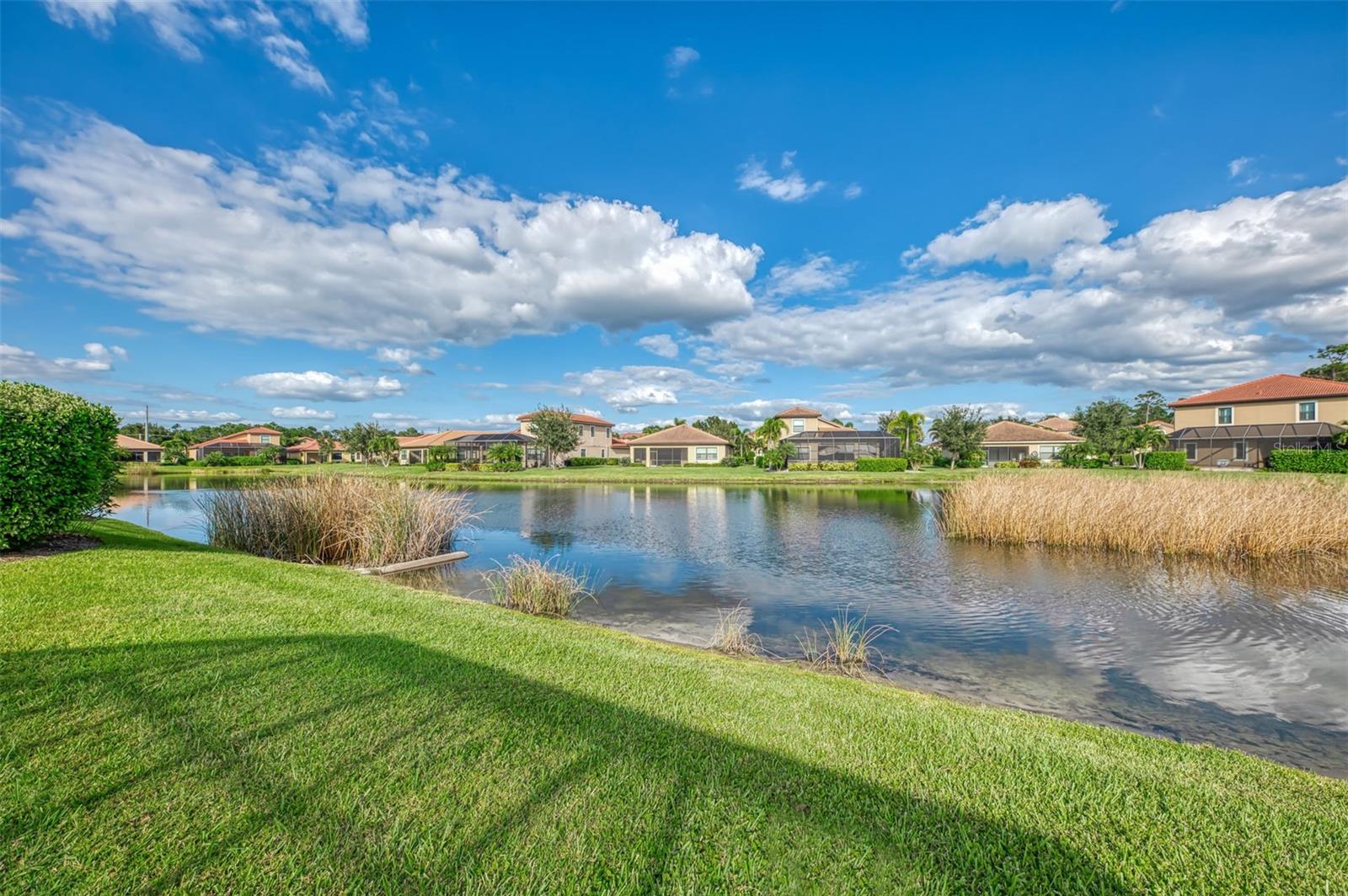 1050 BLUFFWOOD DR — photo 49