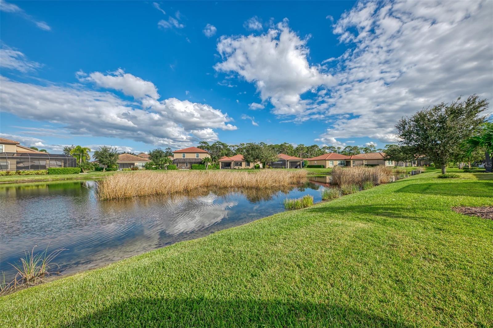 1050 BLUFFWOOD DR — photo 53