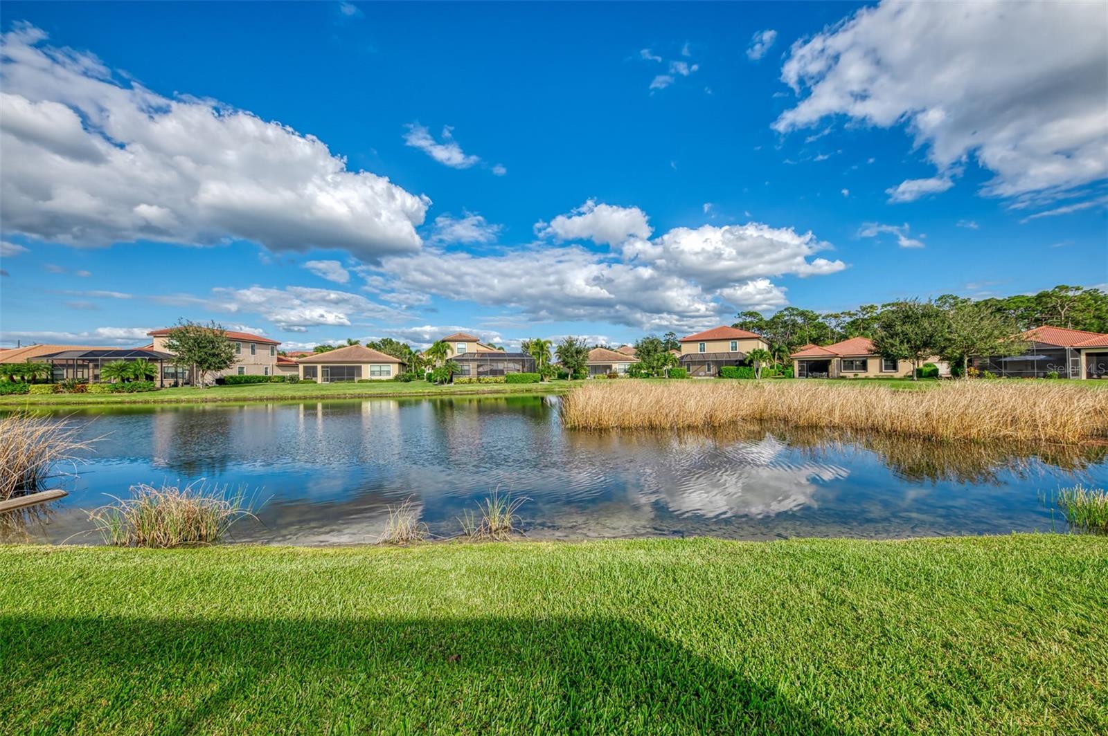 1050 BLUFFWOOD DR — photo 52