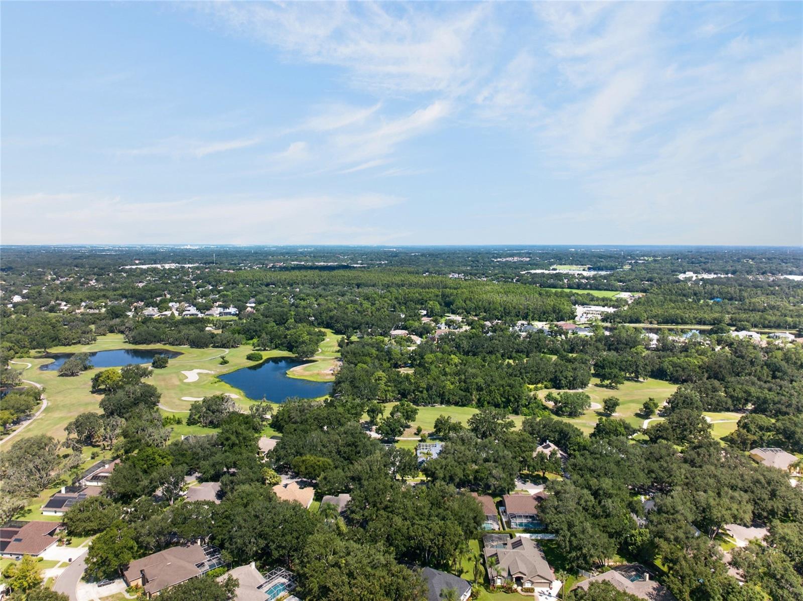 2243 EAGLE BLUFF DR — photo 51