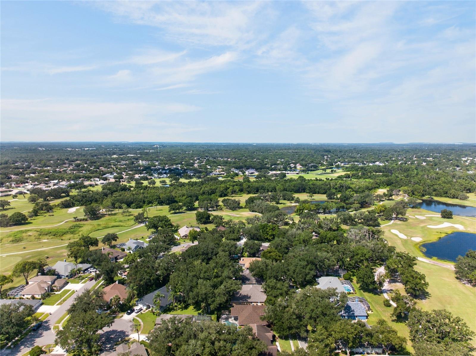 2243 EAGLE BLUFF DR — photo 2