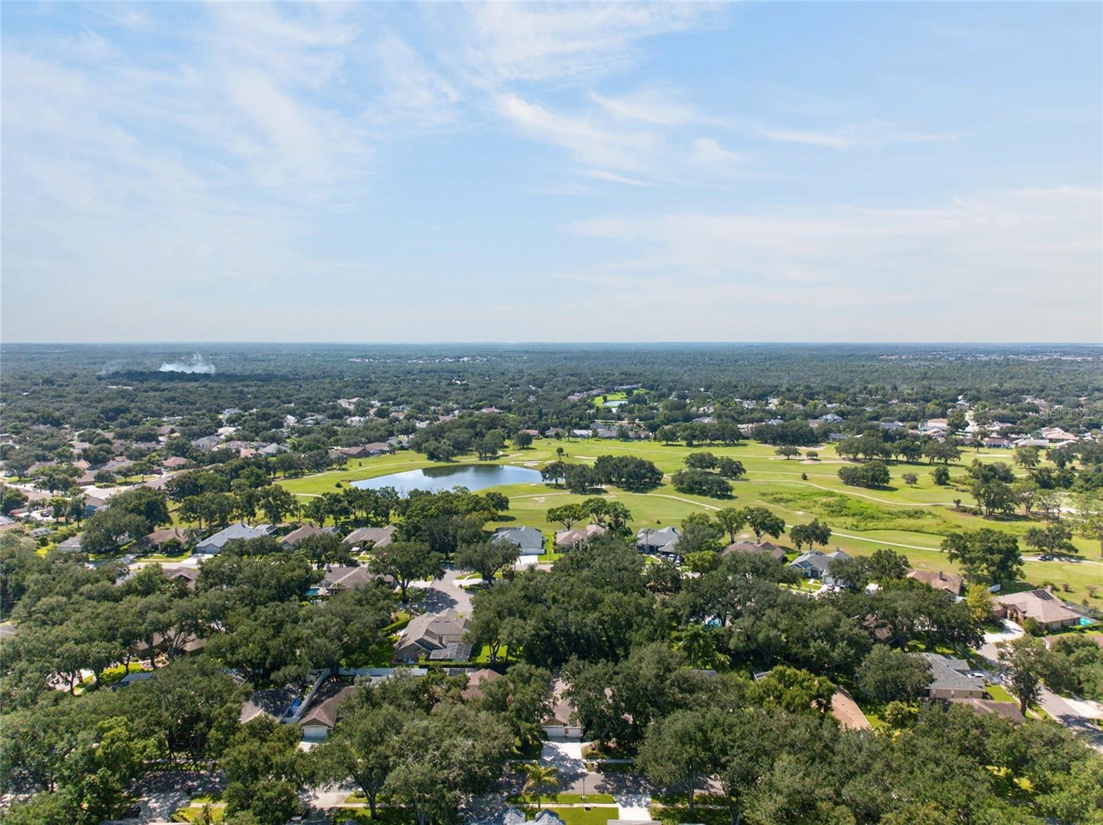 2243 EAGLE BLUFF DR — photo 48