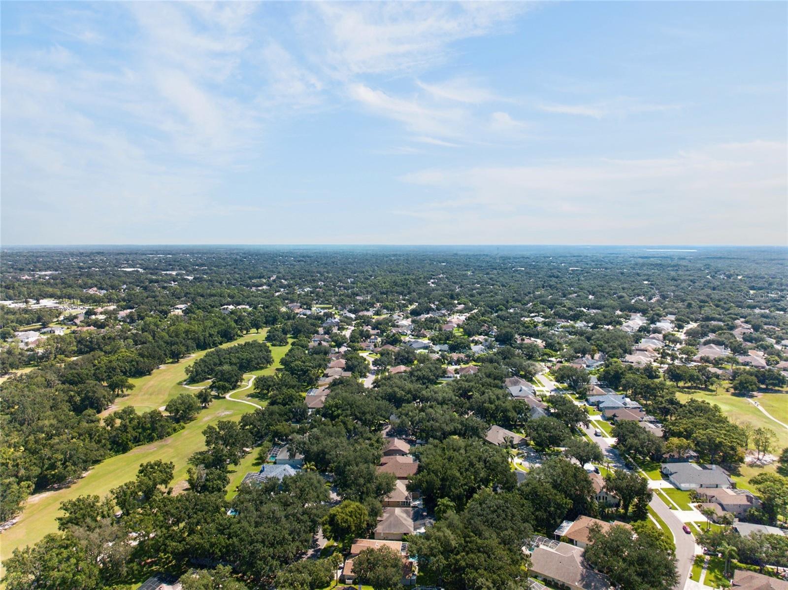 2243 EAGLE BLUFF DR — photo 54