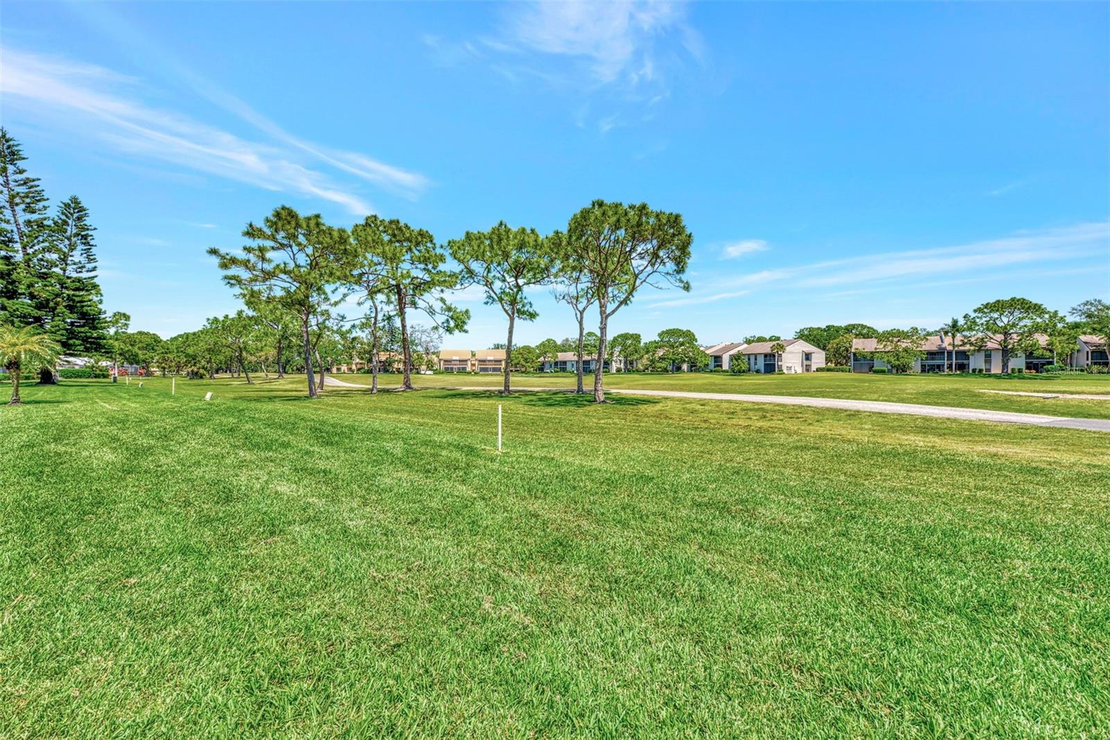 3141 HEATHERWOOD LN — photo 45