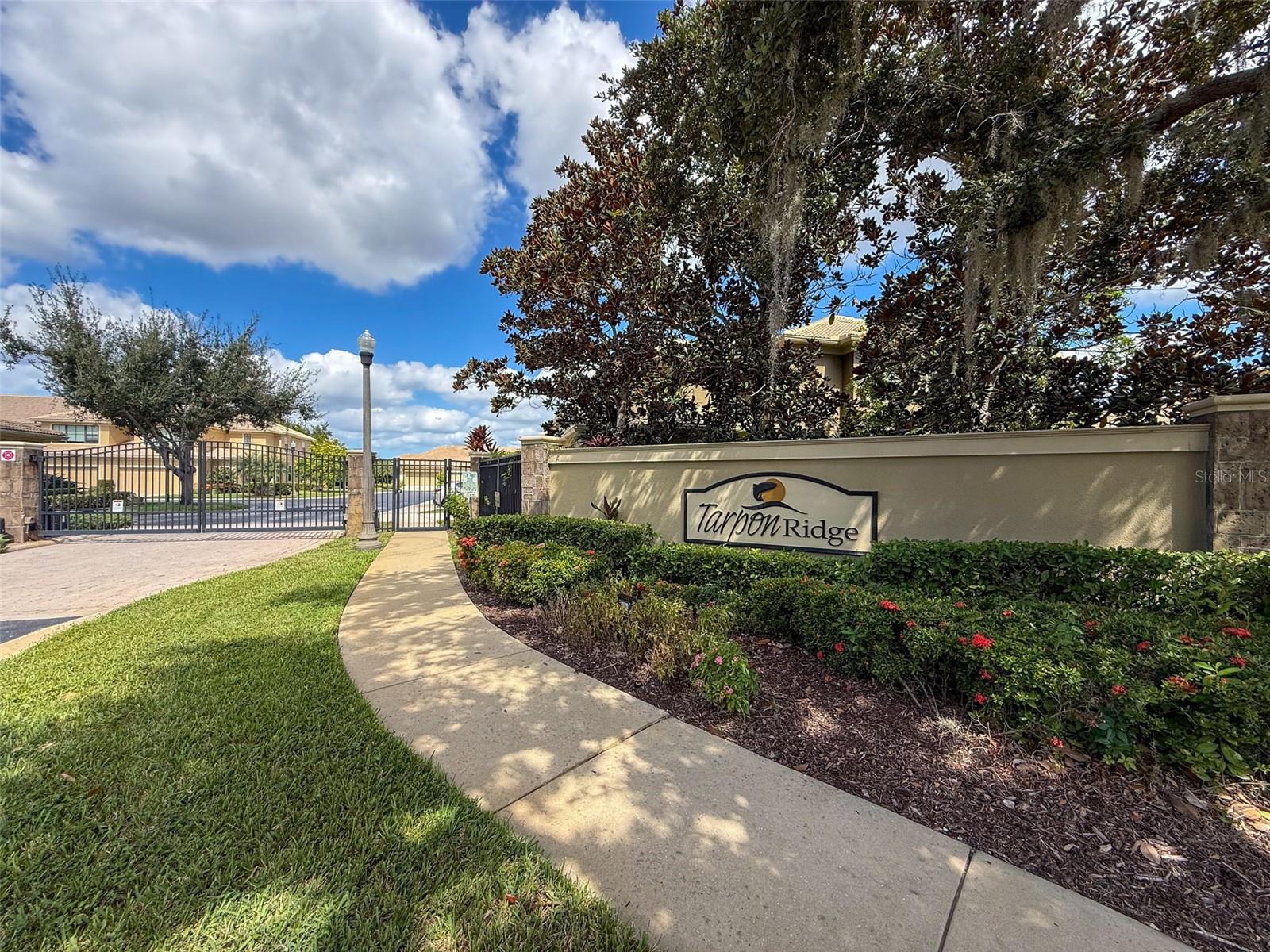 2539 SILVERBACK CT — photo 43