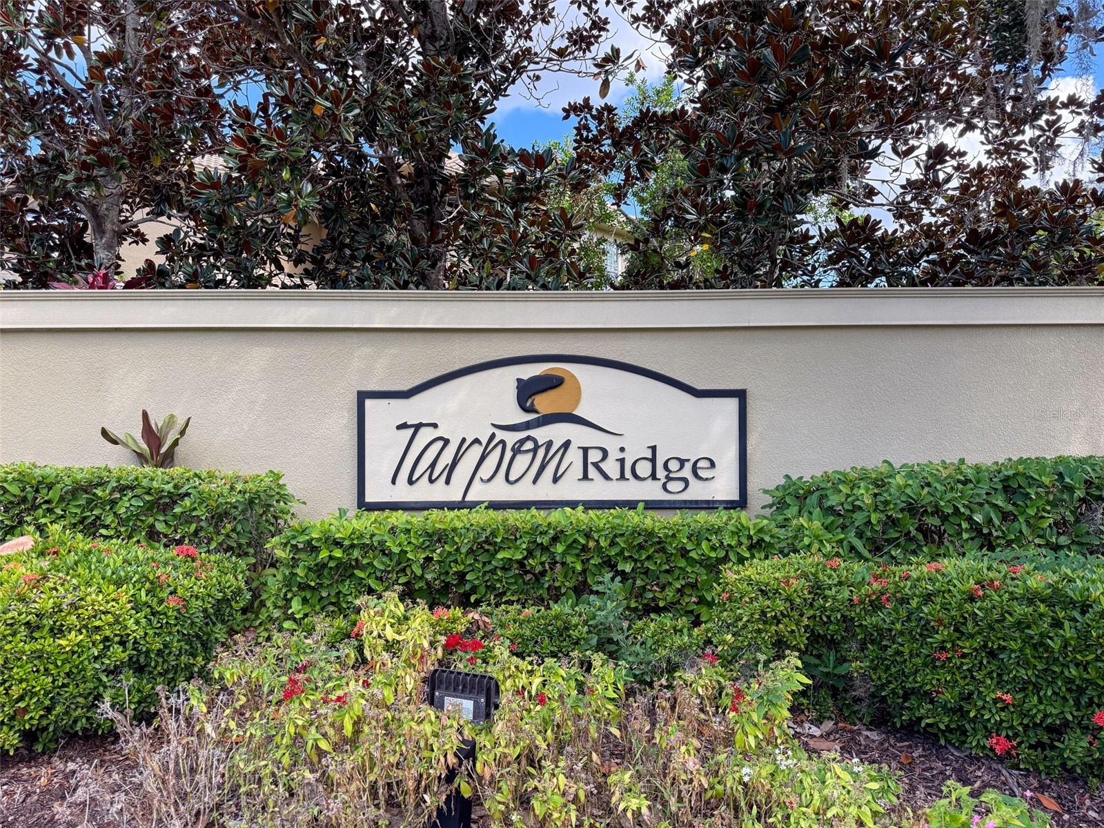 2539 SILVERBACK CT — photo 38