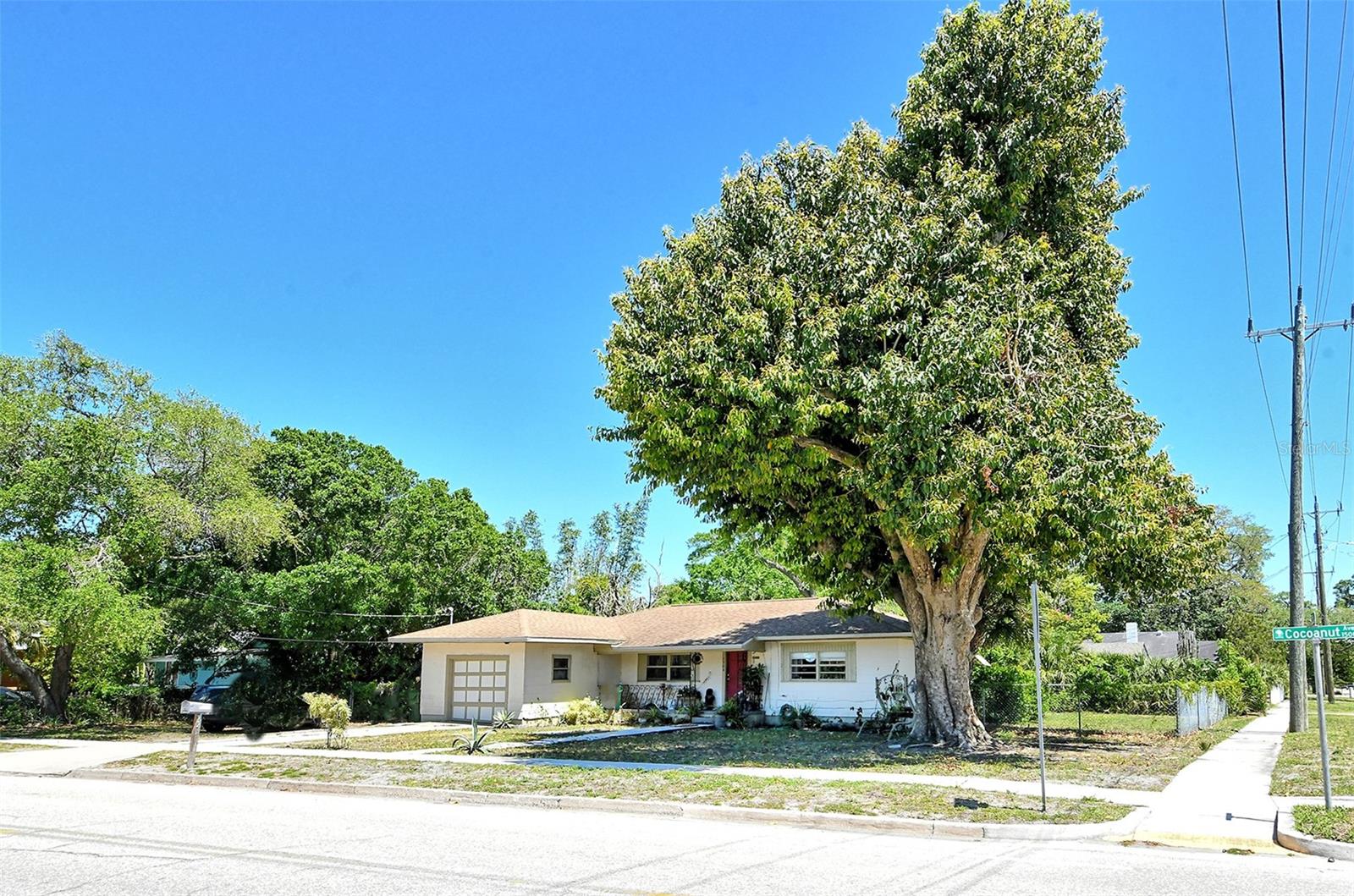 1504 COCOANUT AVE — photo 4