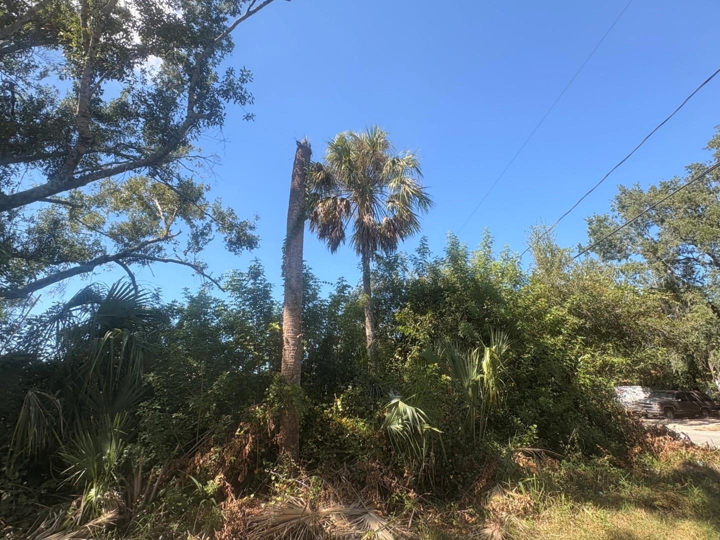 2601 GOLDWYN DR — photo 4