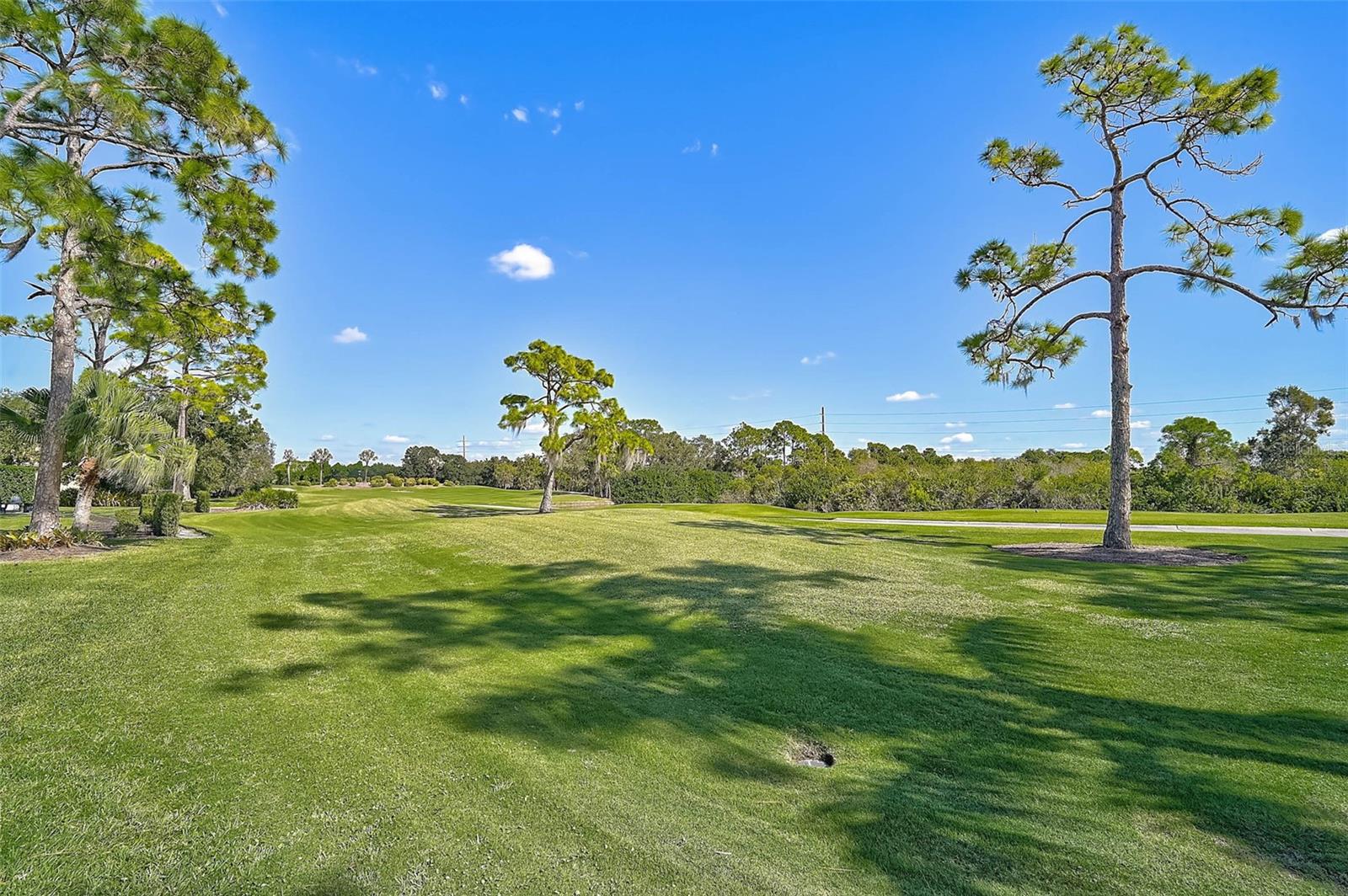 538 DOVE POINTE DR — photo 46