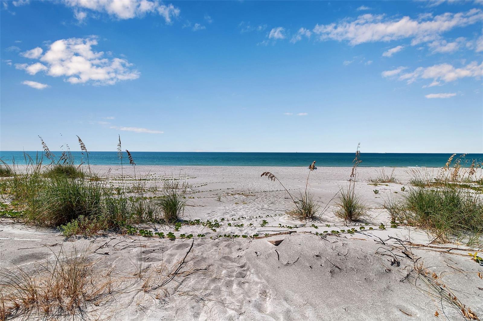 2819 GULF OF MEXICO DR — photo 4
