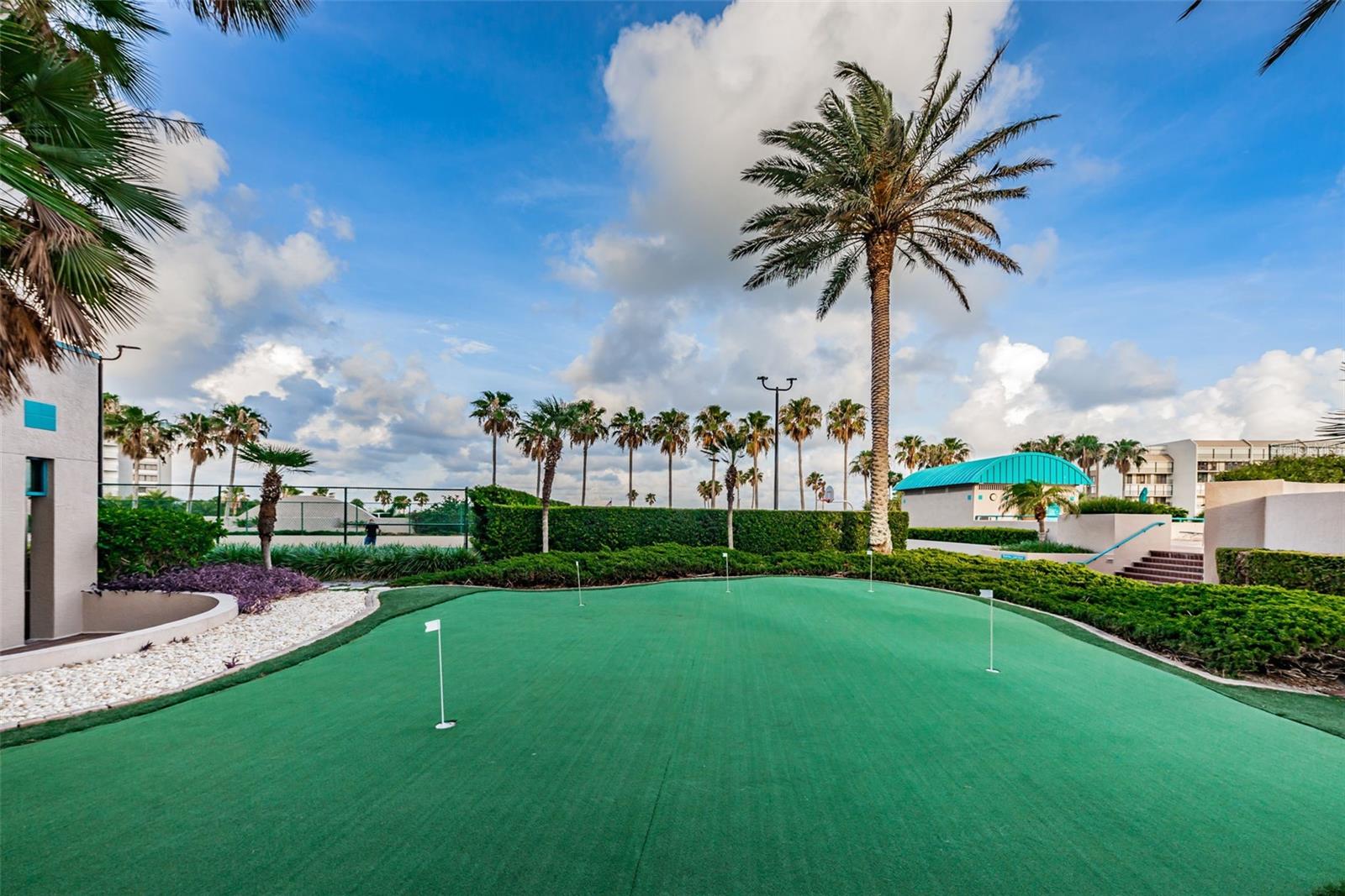 1520 GULF BLVD #1101 — photo 91