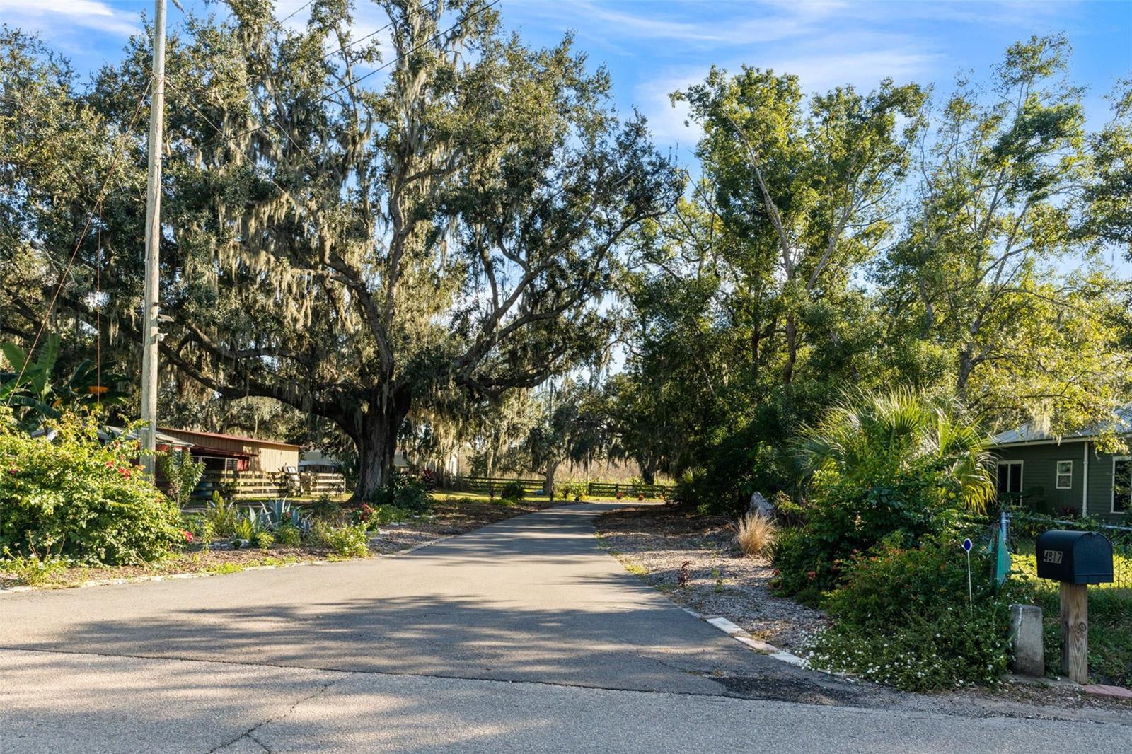 4817 MILEY RD — photo 37