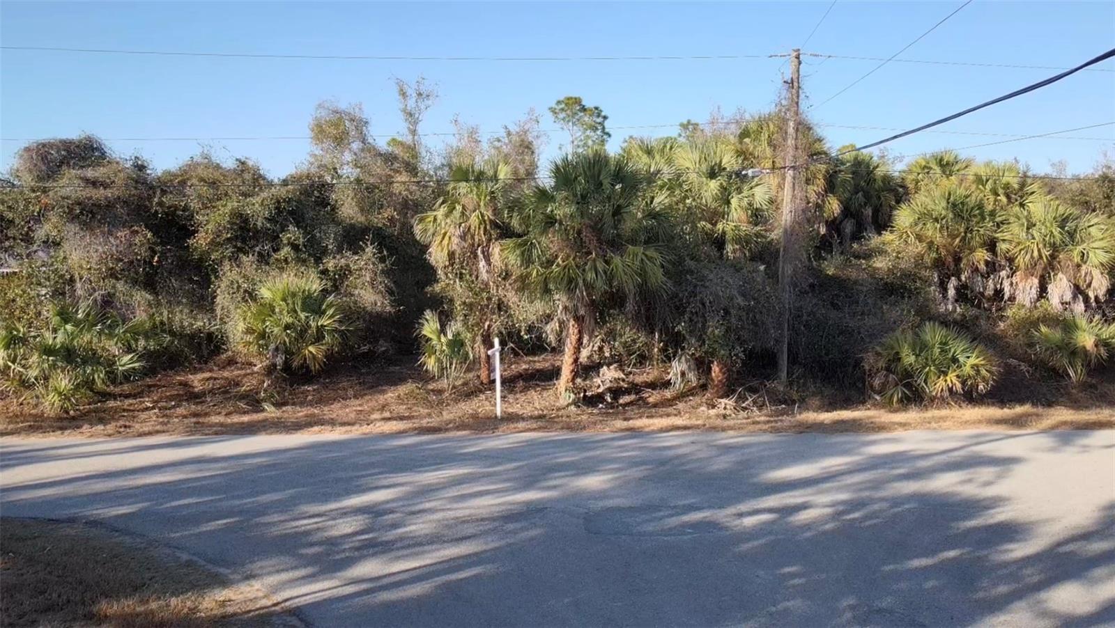 Lot 5 & 6 COUNTESS AVE — photo 12