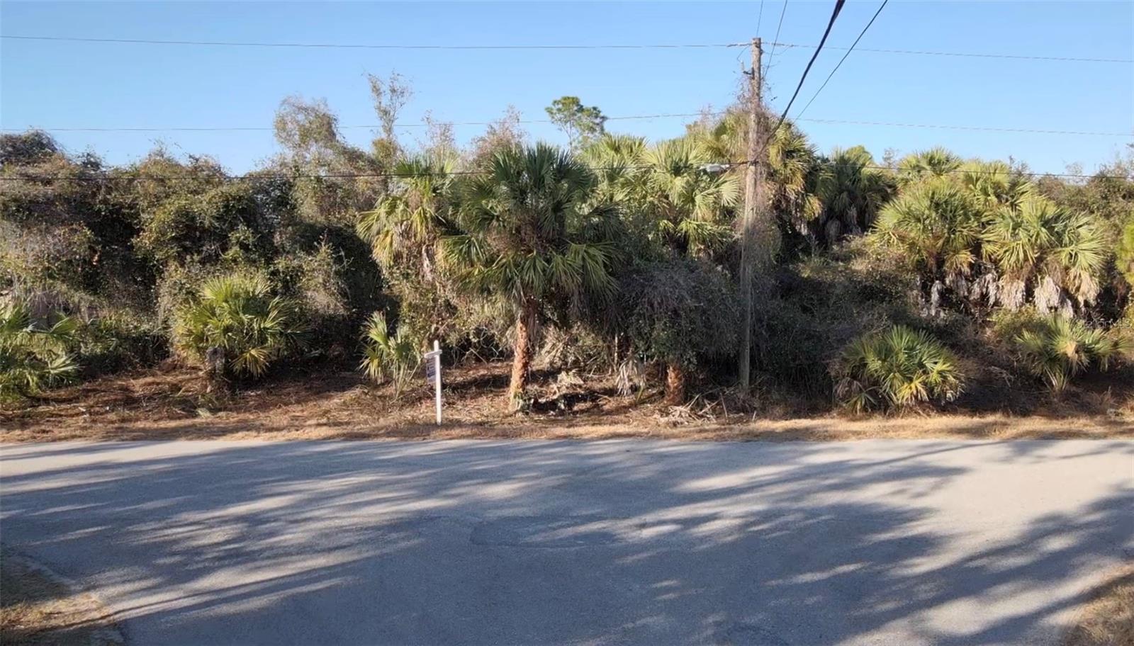 Lot 5 & 6 COUNTESS AVE — photo 10