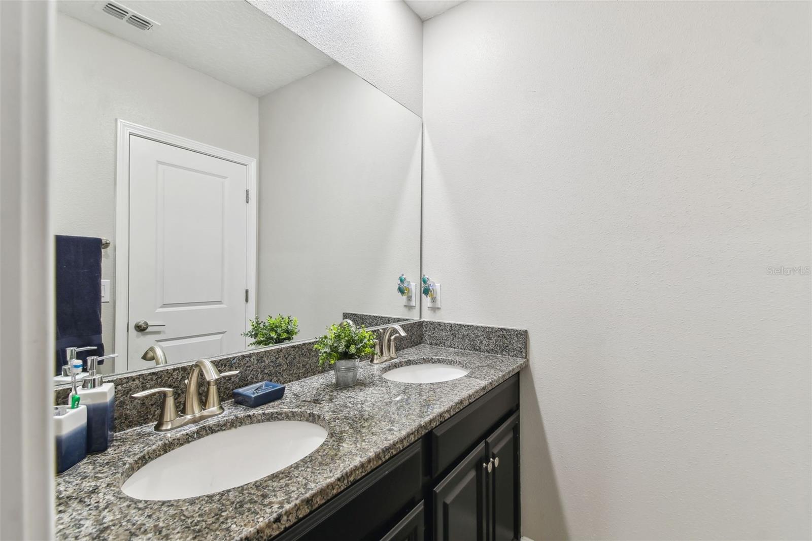 10012 CORSO MILANO DR — photo 42