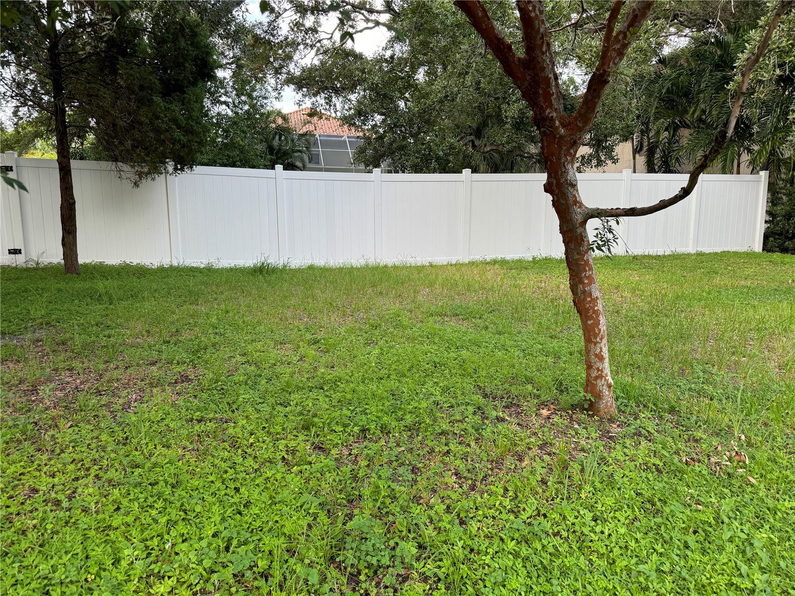 3115 W SAN PEDRO ST — photo 3