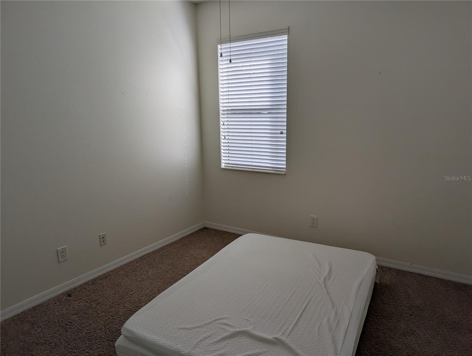 7343 FOREST MERE DR — photo 20