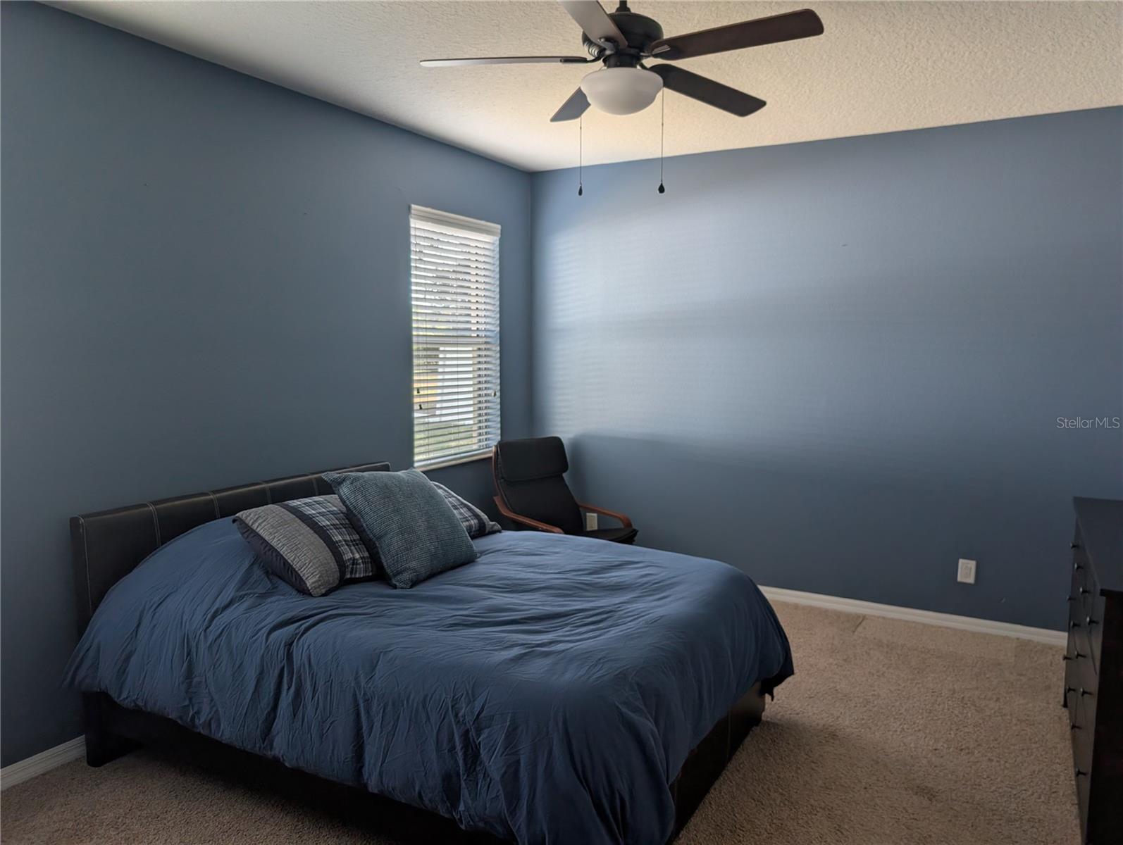 7343 FOREST MERE DR — photo 15