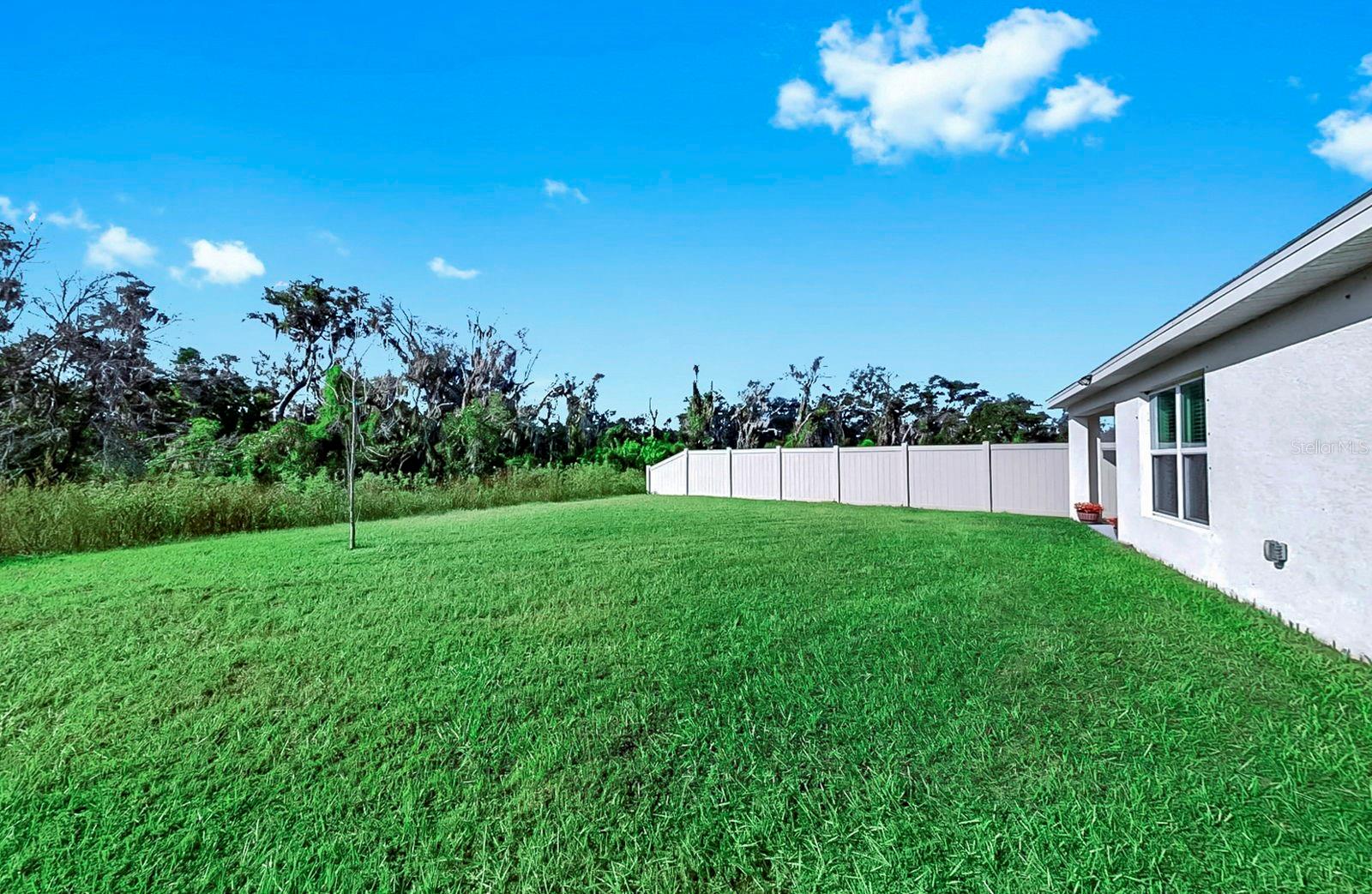 3281 SILVER DATE DR — photo 39