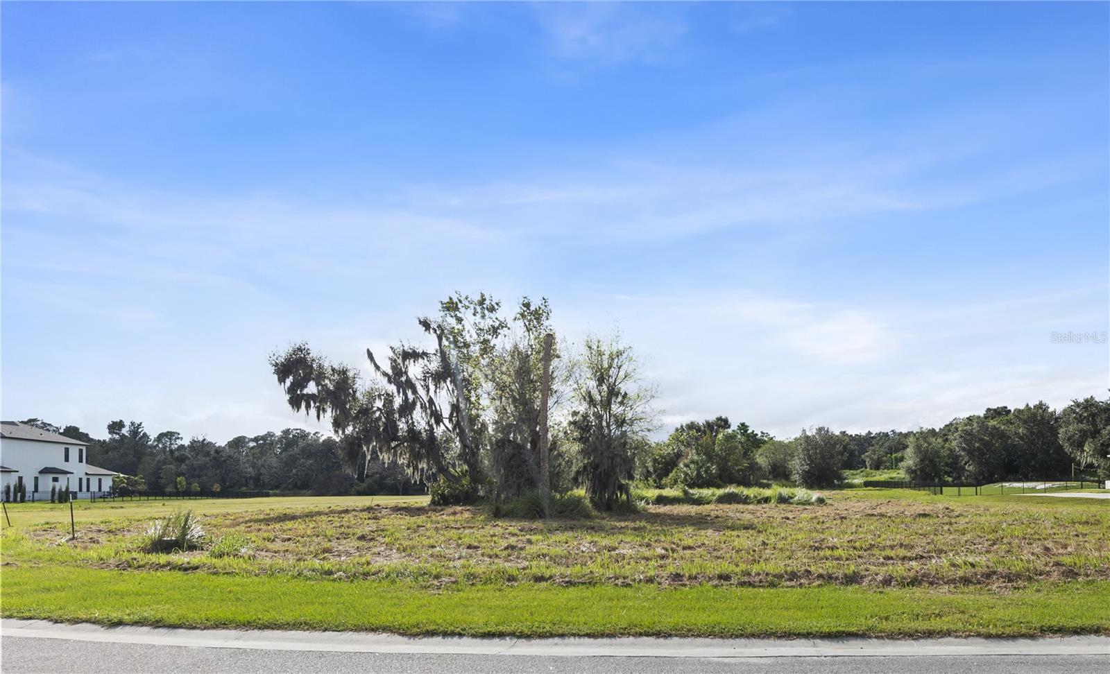 15323 FISHHAWK HEIGHTS RUN — photo 4