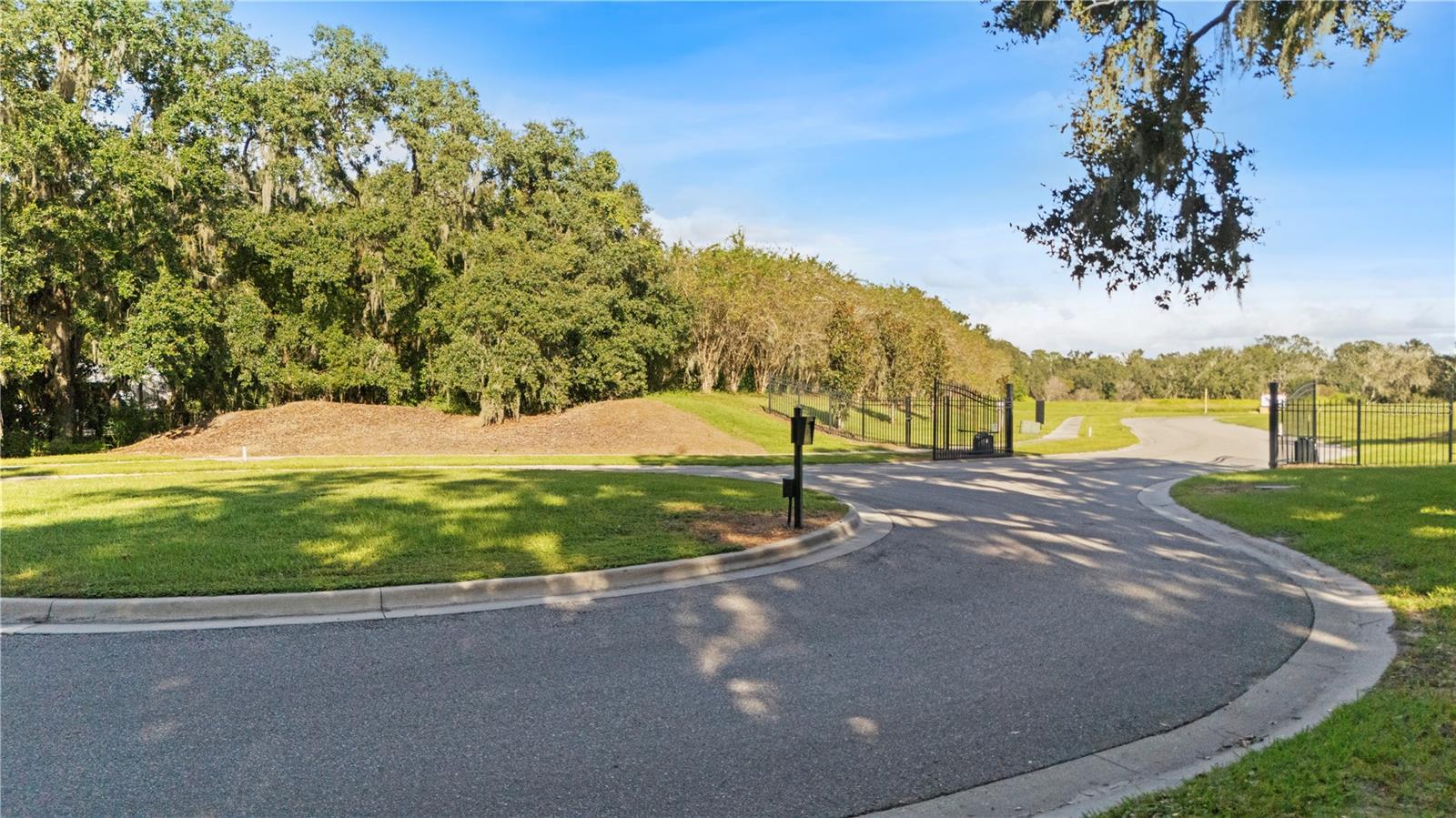 15323 FISHHAWK HEIGHTS RUN — photo 14