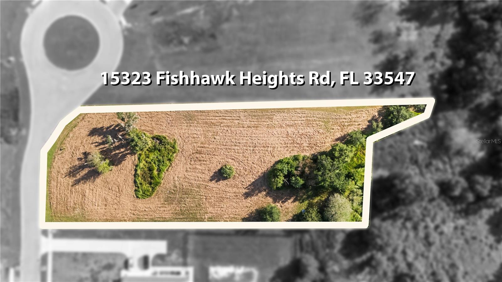 15323 FISHHAWK HEIGHTS RUN — photo 9